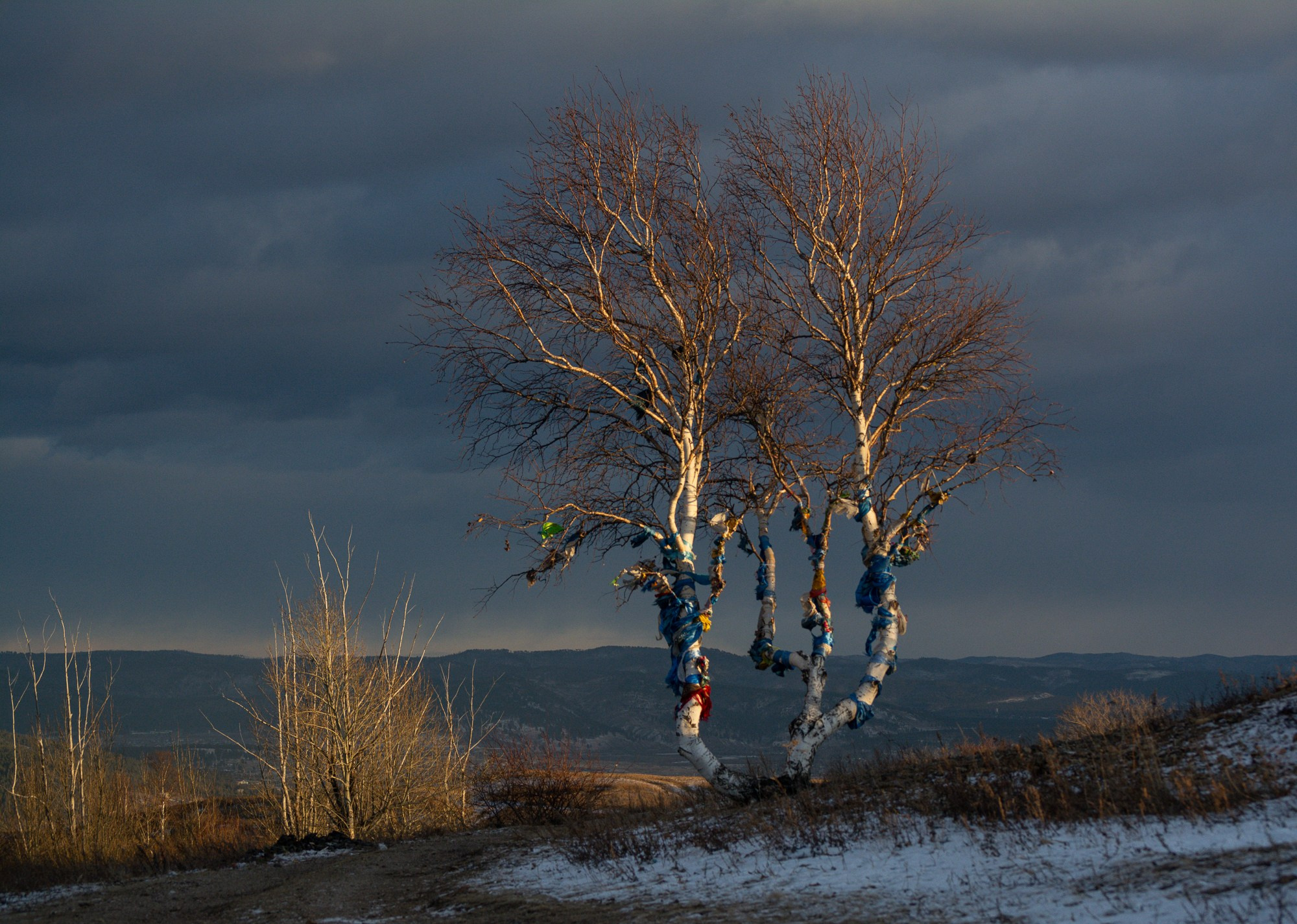 Разное. Репортажный фотограф г. Чита