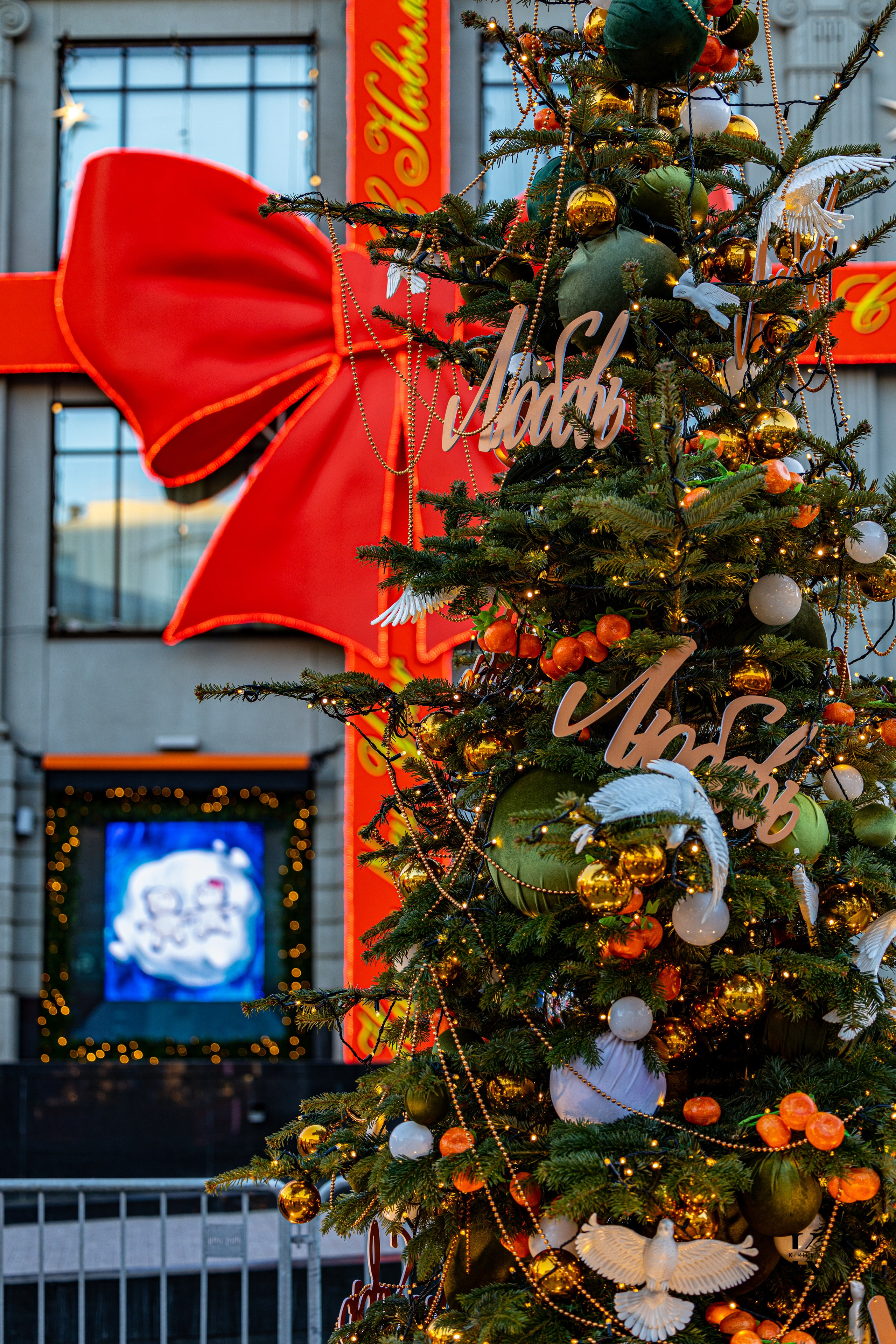 Москва, Январь 2025. Детали. Фотографирую жизнь! Московский фотограф волонтер