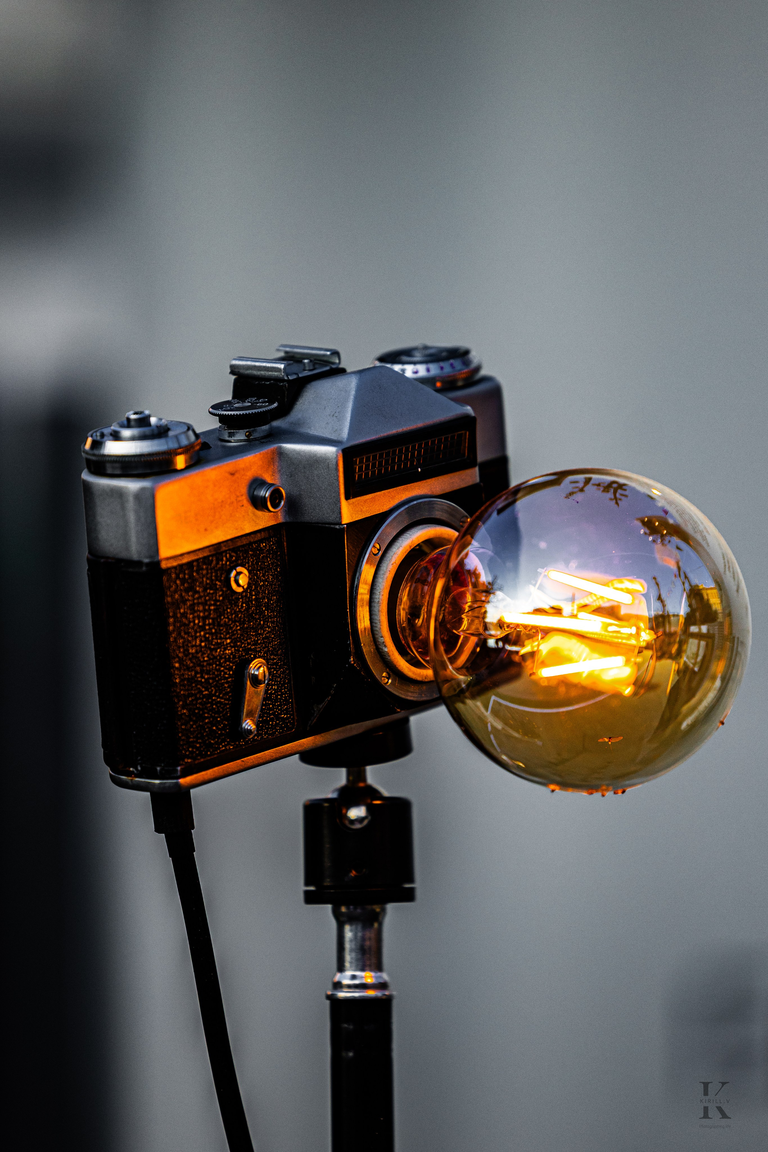 Фотографирую жизнь! Московский фотограф волонтер