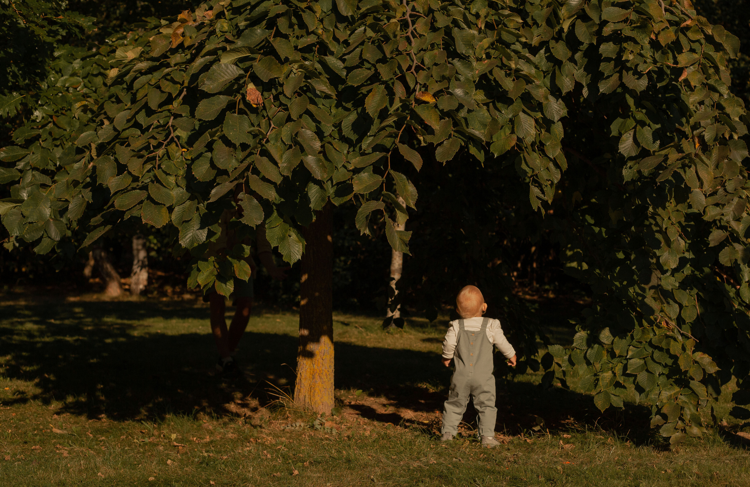 Семейная прогулка в парке. Фотограф видеограф Ольга Василевская