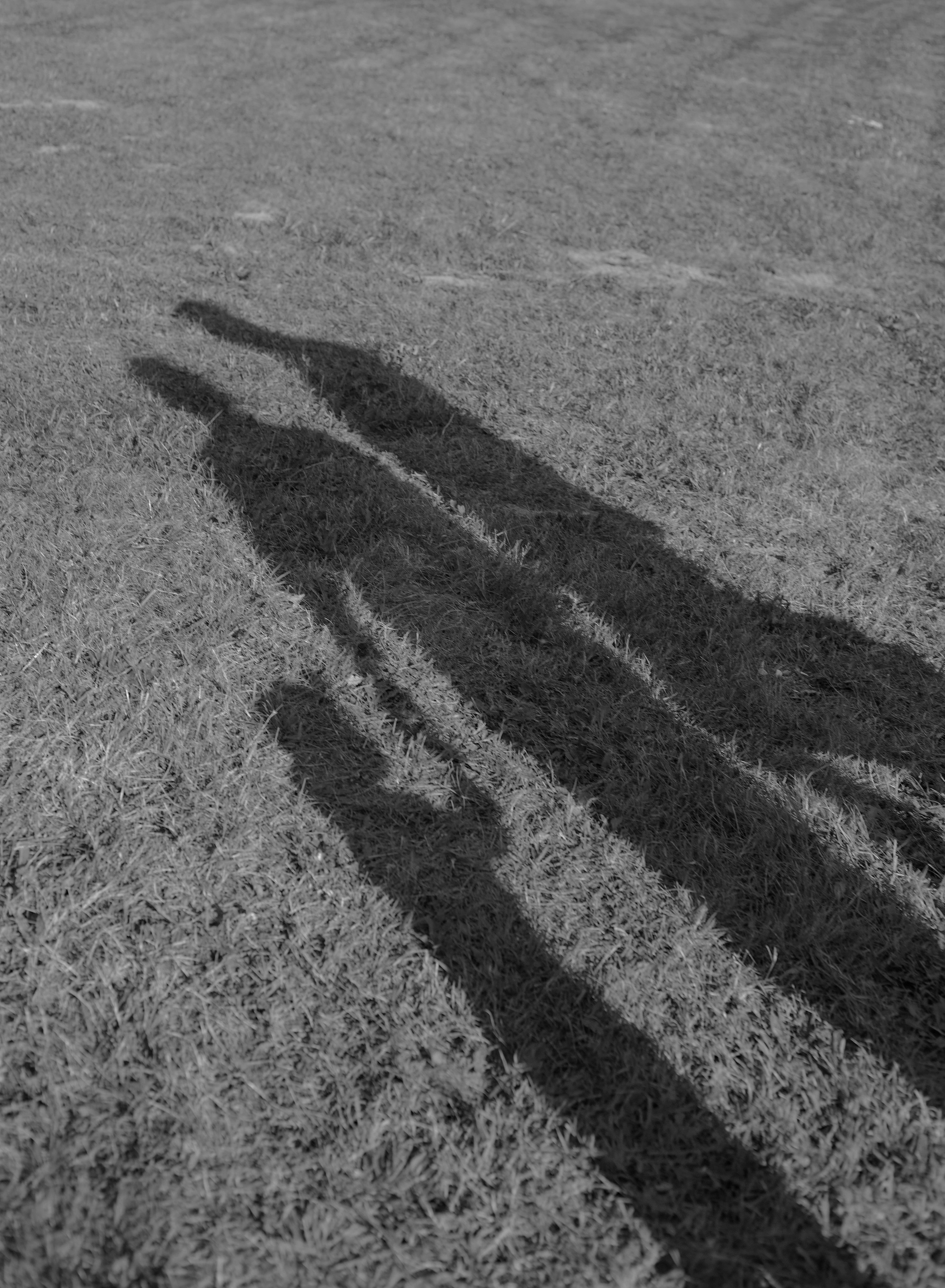 Семейная прогулка в парке. Фотограф видеограф Ольга Василевская