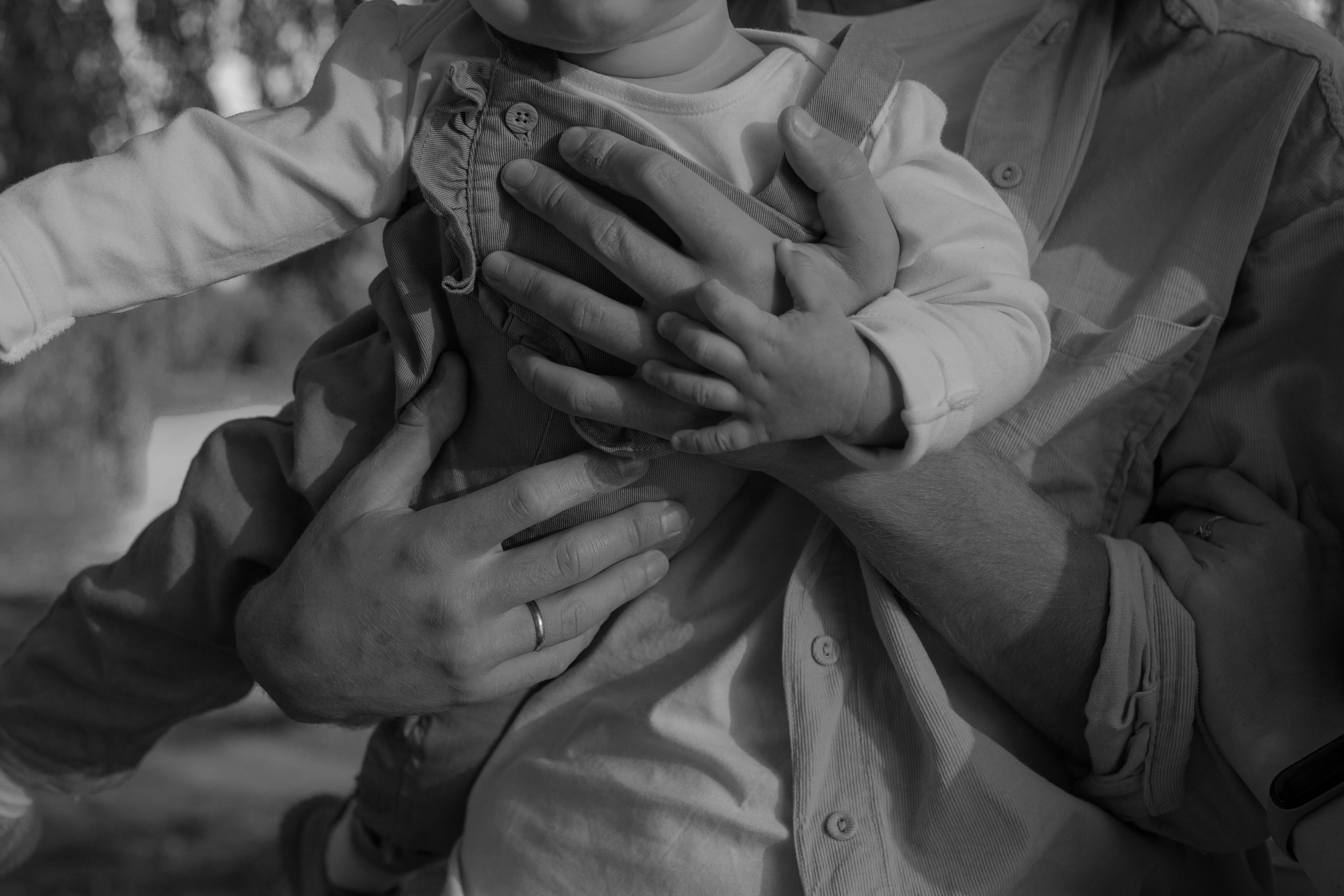 Семейная прогулка в парке. Фотограф видеограф Ольга Василевская