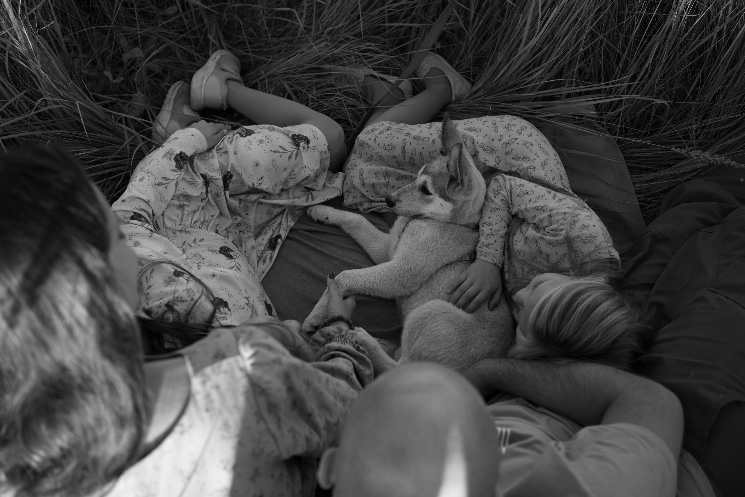 Семейная съемка для Александры. Фотограф Катя Стрельцова