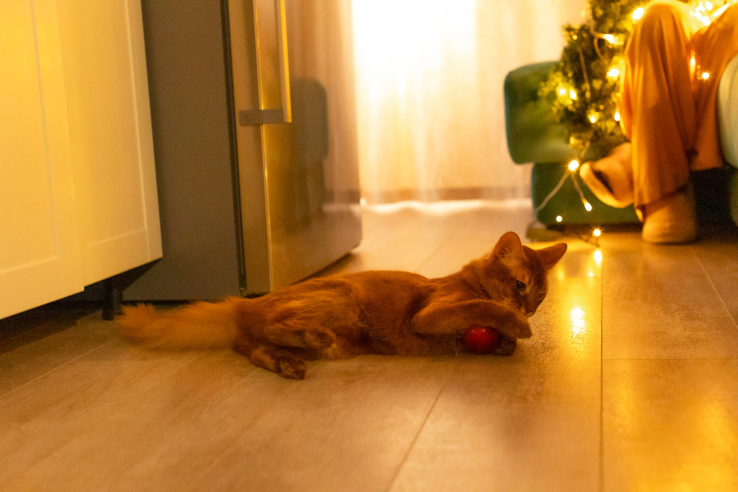 Сомали. Art my Pho