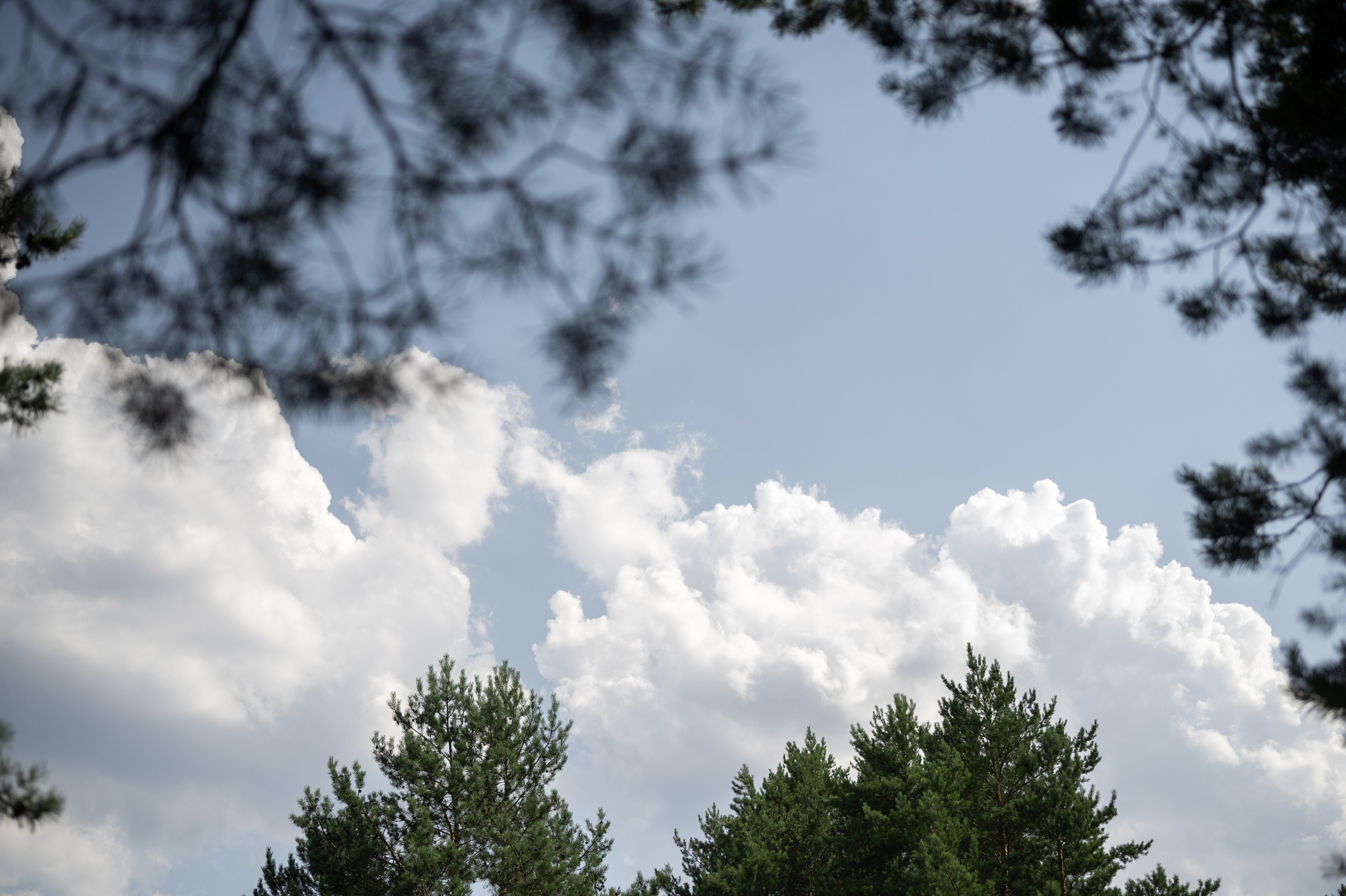 Константин и Татьяна / полный день. Свадебный фотограф Йошкар-Ола Казань