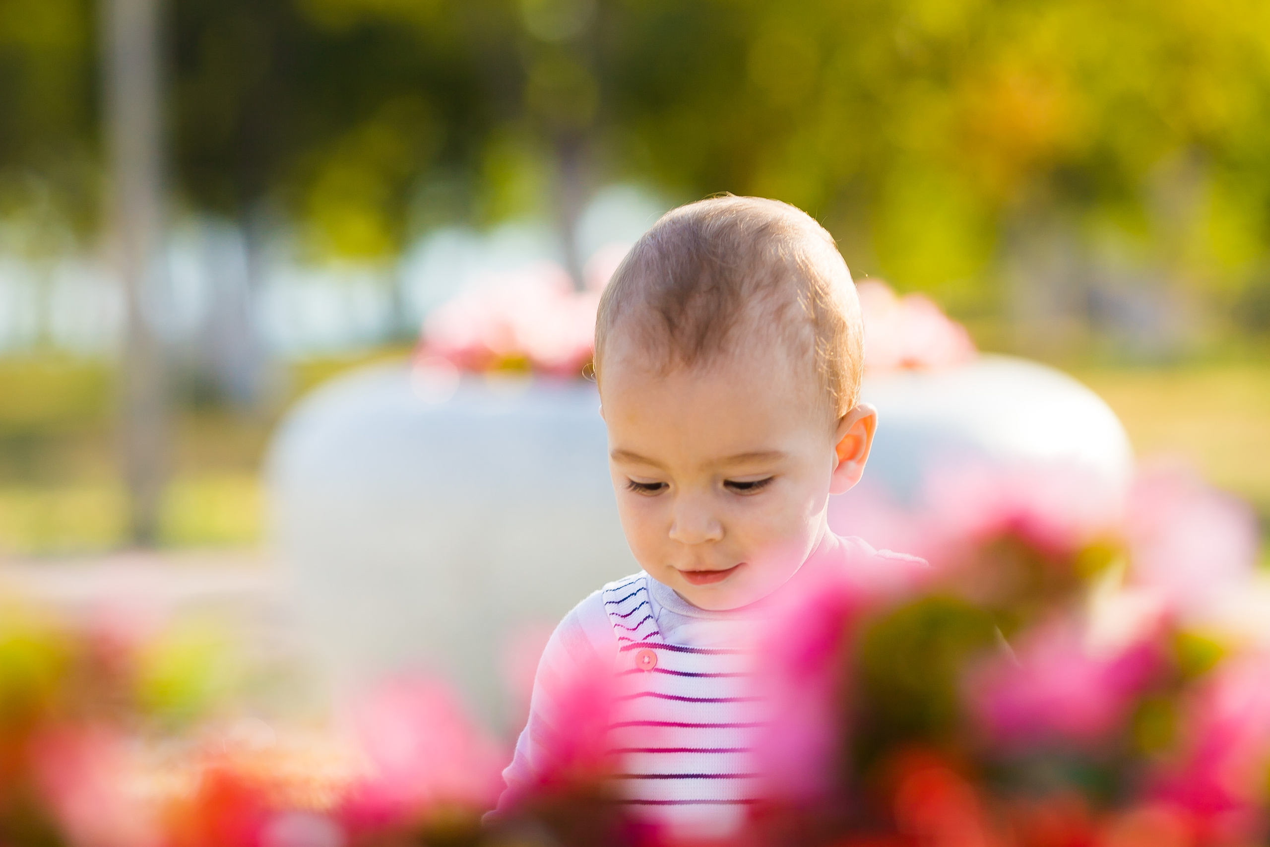 Прогулка. Дизайн интерьера Керчь, дизайнер интерьера Еремина Мария Керчь, Симфер