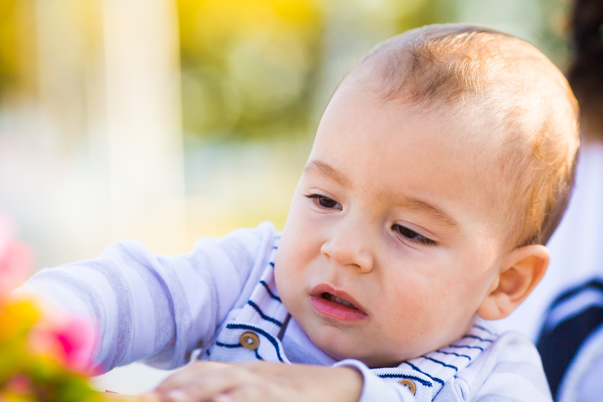 Прогулка. Дизайн интерьера Керчь, дизайнер интерьера Еремина Мария Керчь, Симфер