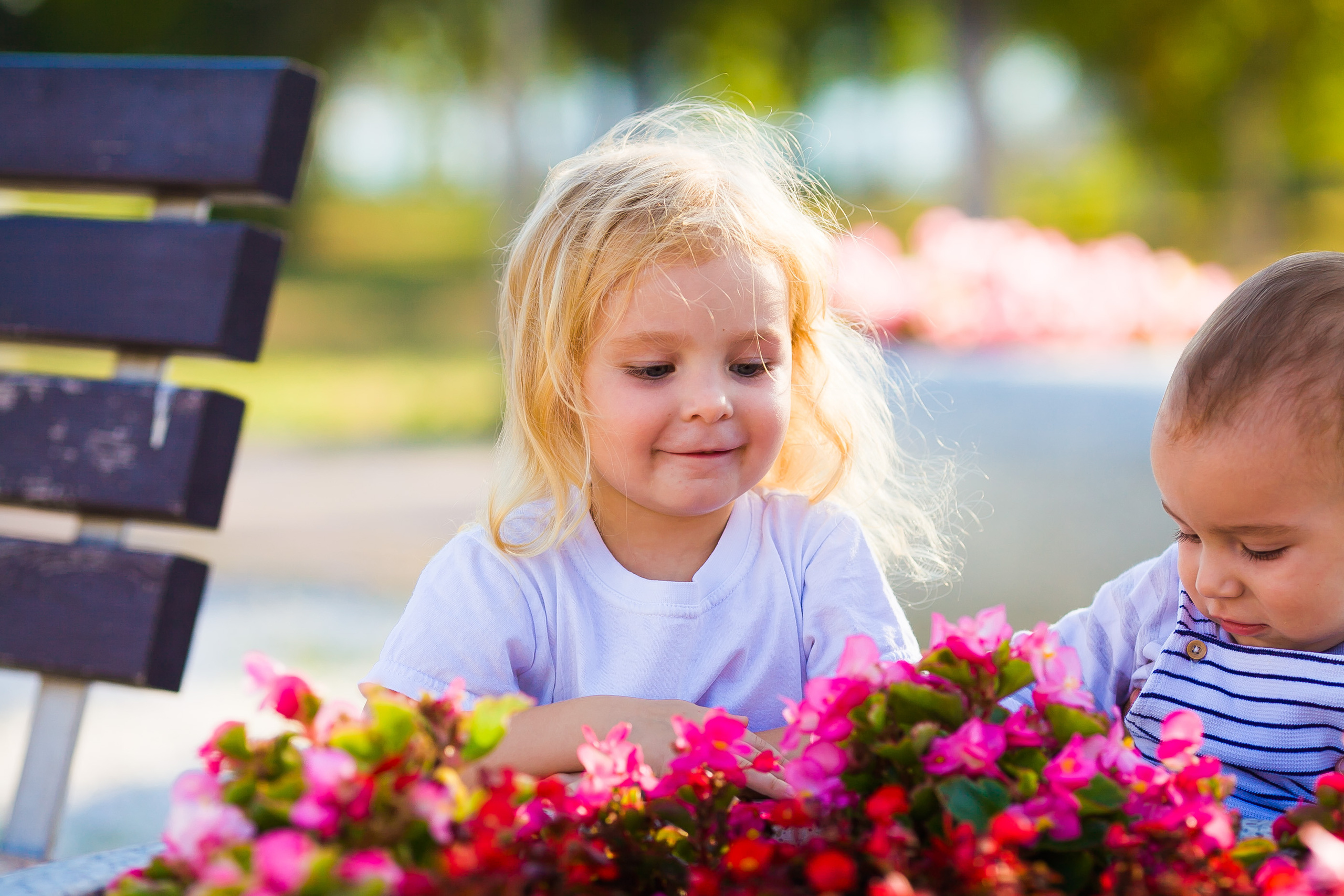 Прогулка. Дизайн интерьера Керчь, дизайнер интерьера Еремина Мария Керчь, Симфер
