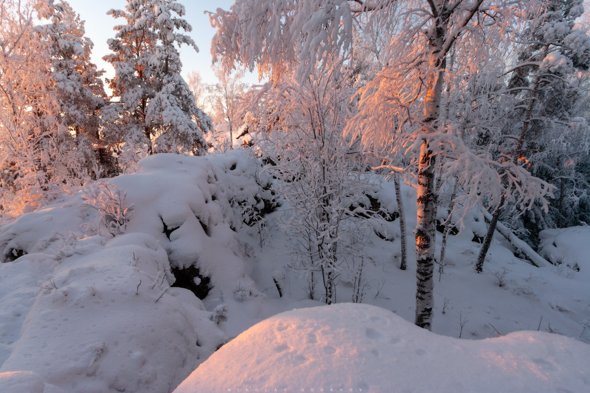 Зимний лес в окрестностях поселка Черноисточинск возле Нижнего Тагила.