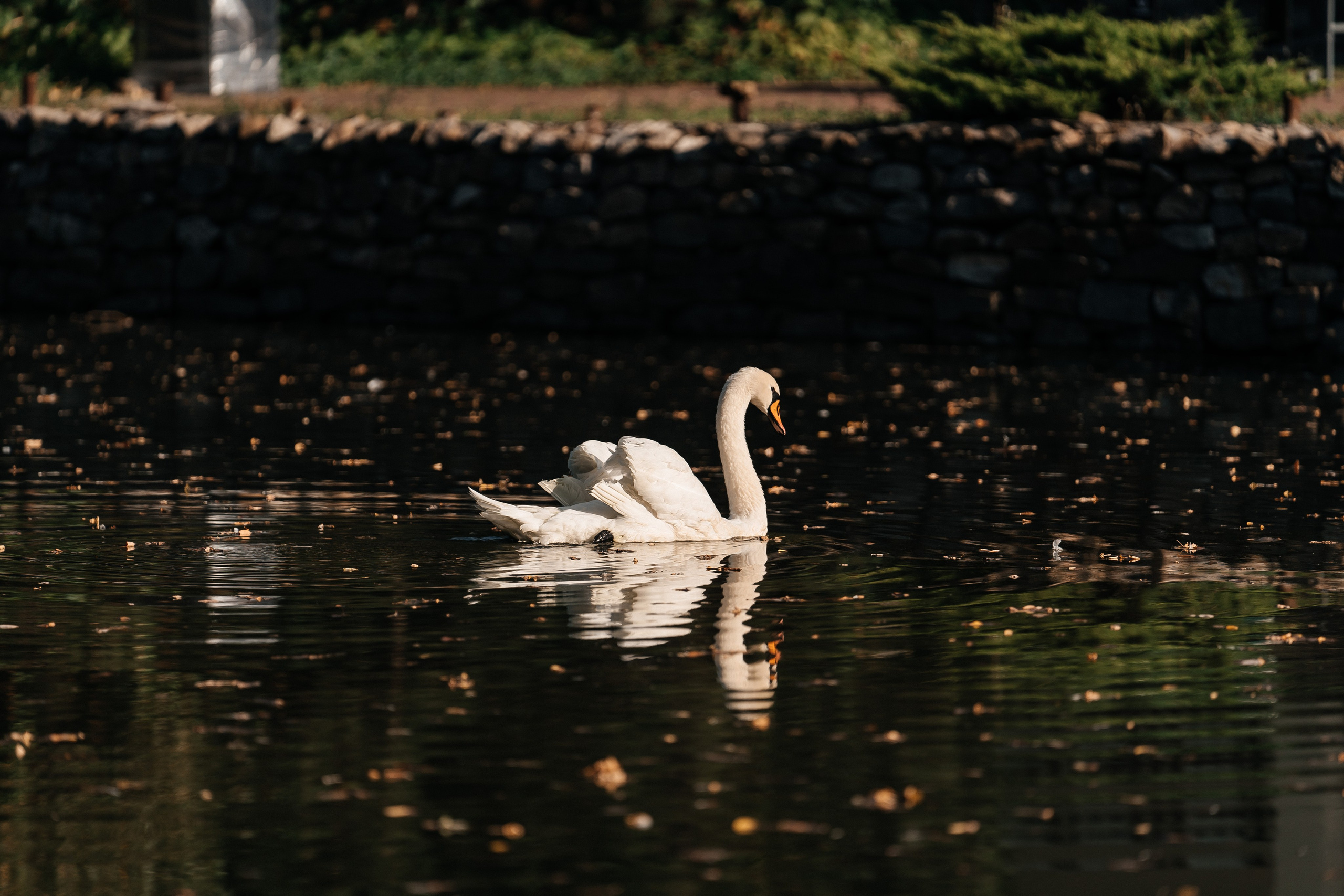 Строй Маркет Сервис 15 лет. Lokos.pro Ник Соколов Фото и Видео Москва/Ростов-на-Дону
