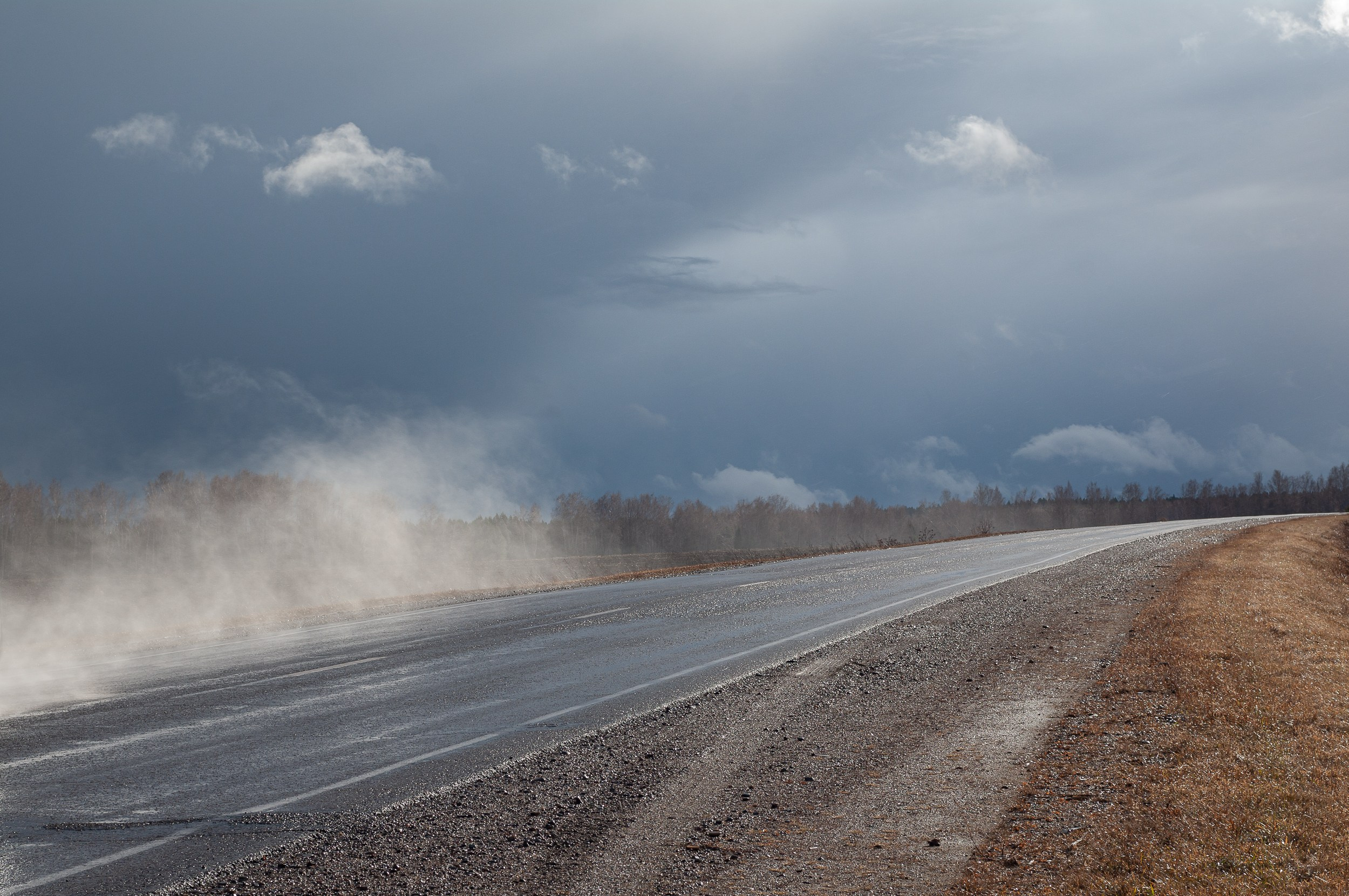 Тракт. Николай Пак