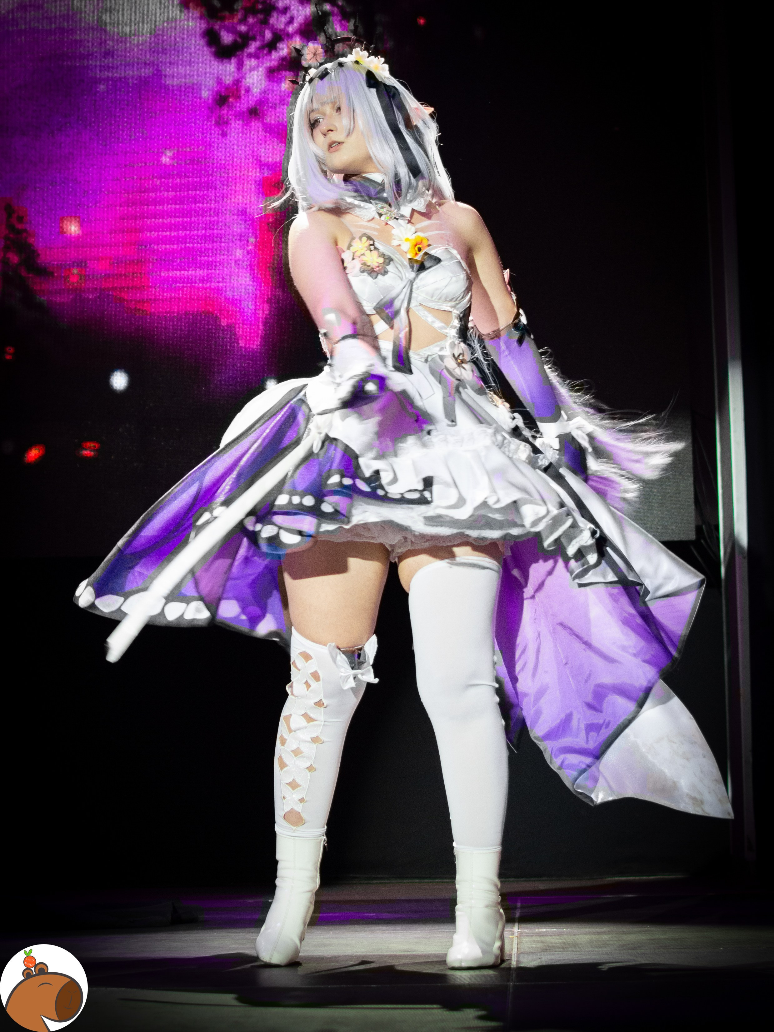 5 ночей с Капибарой. Уголок Капибарки