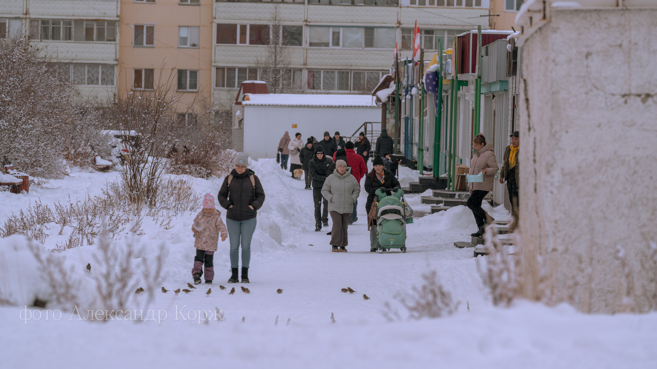 Природа крайнего Севера. Айхал. Фотографии и видеосъемка, Айхал, Удачный, Якутия. Фотографии Айхал