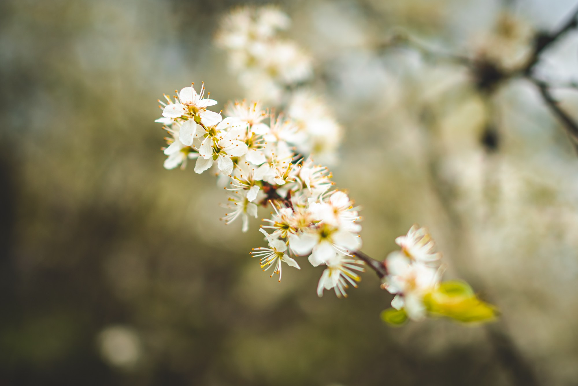 Отзывы. Репортажный и портретный фотограф в Твери Ольга Борисова