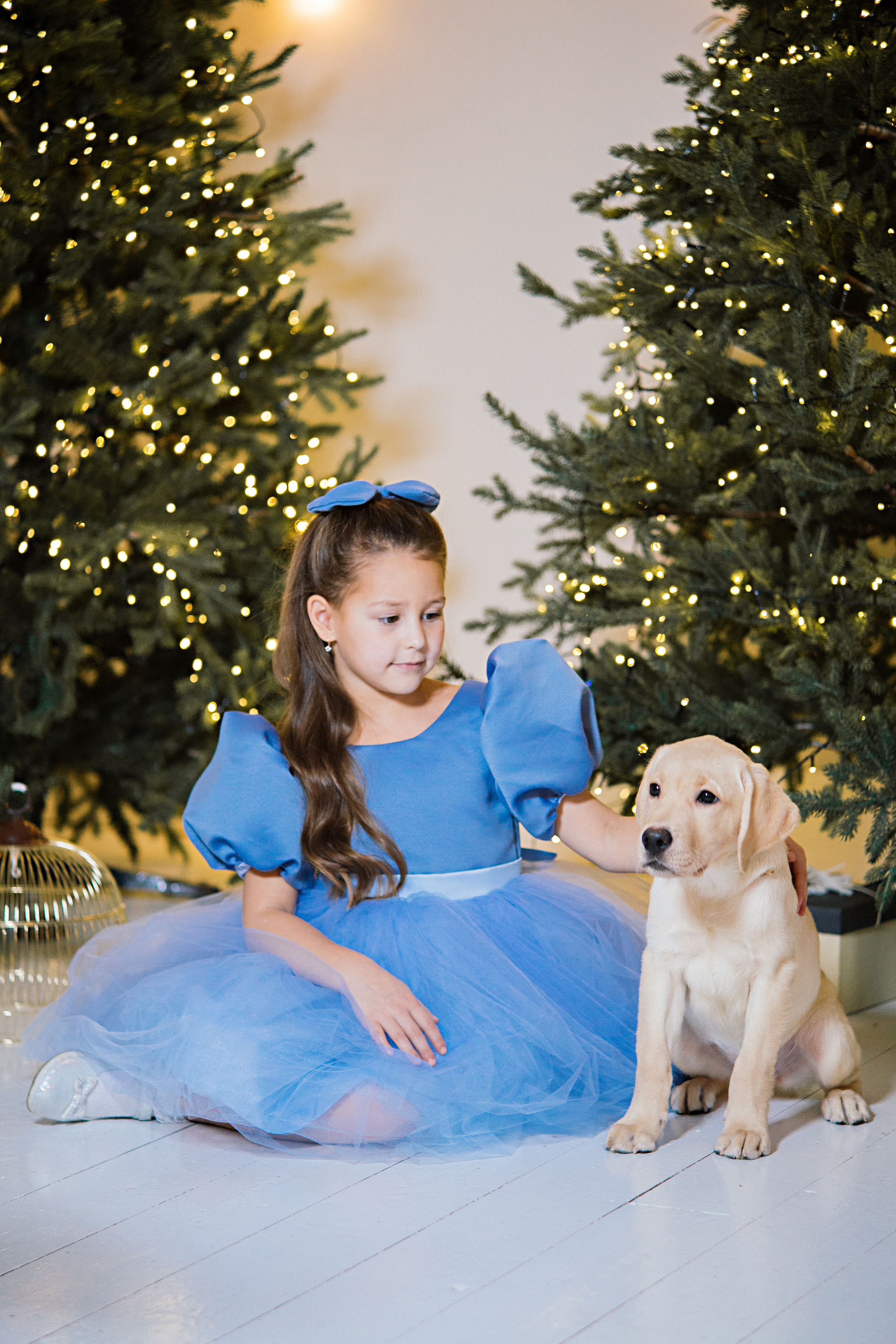 НГ фотосессии в студии. Семейный и контент фотограф в Москве Вероника Швец