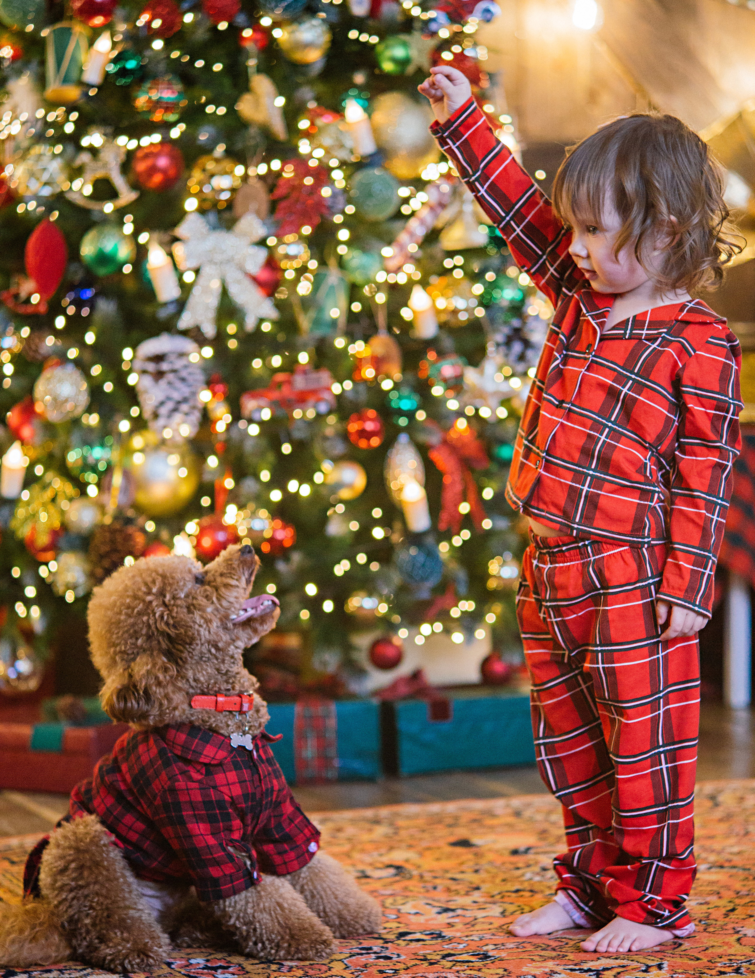 НГ фотосессии в студии. Семейный и контент фотограф в Москве Вероника Швец