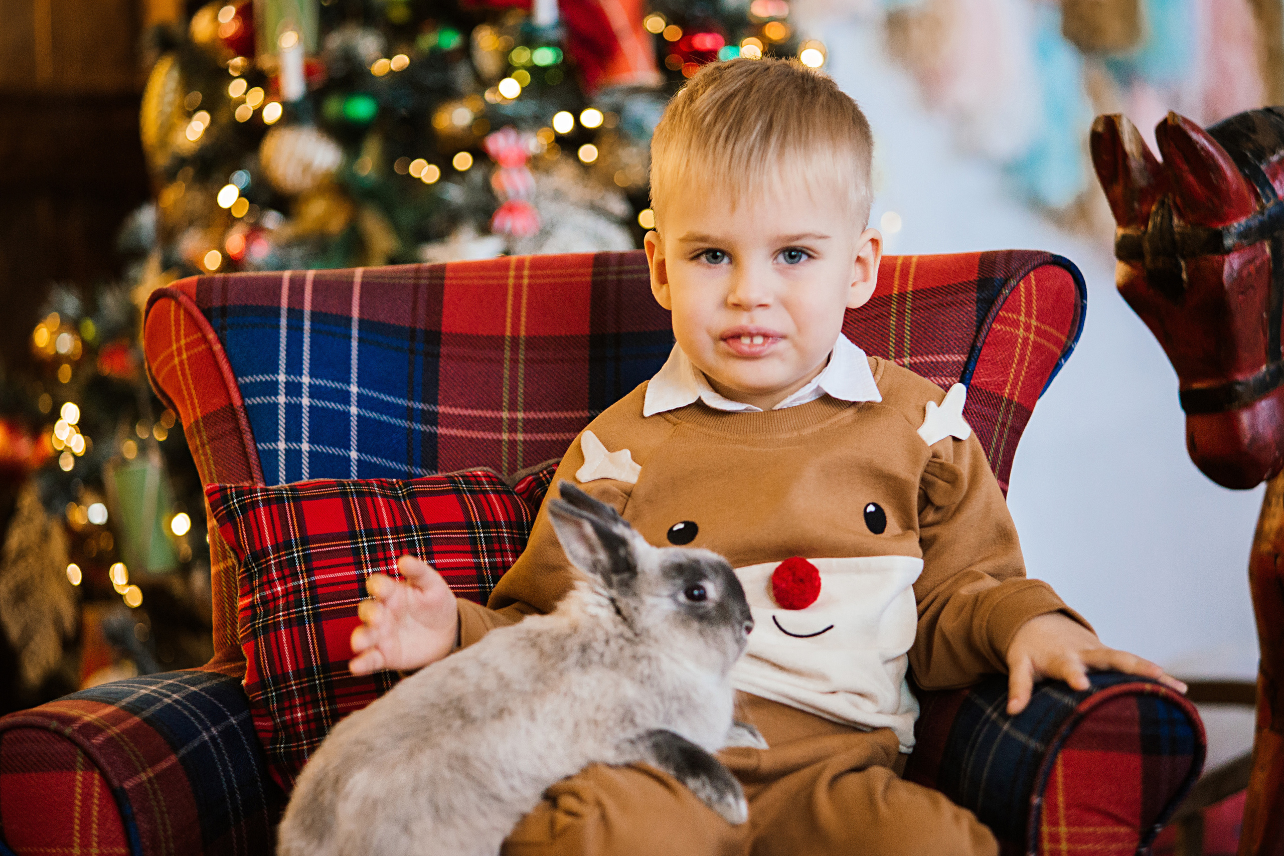 НГ фотосессии в студии. Семейный и контент фотограф в Москве Вероника Швец