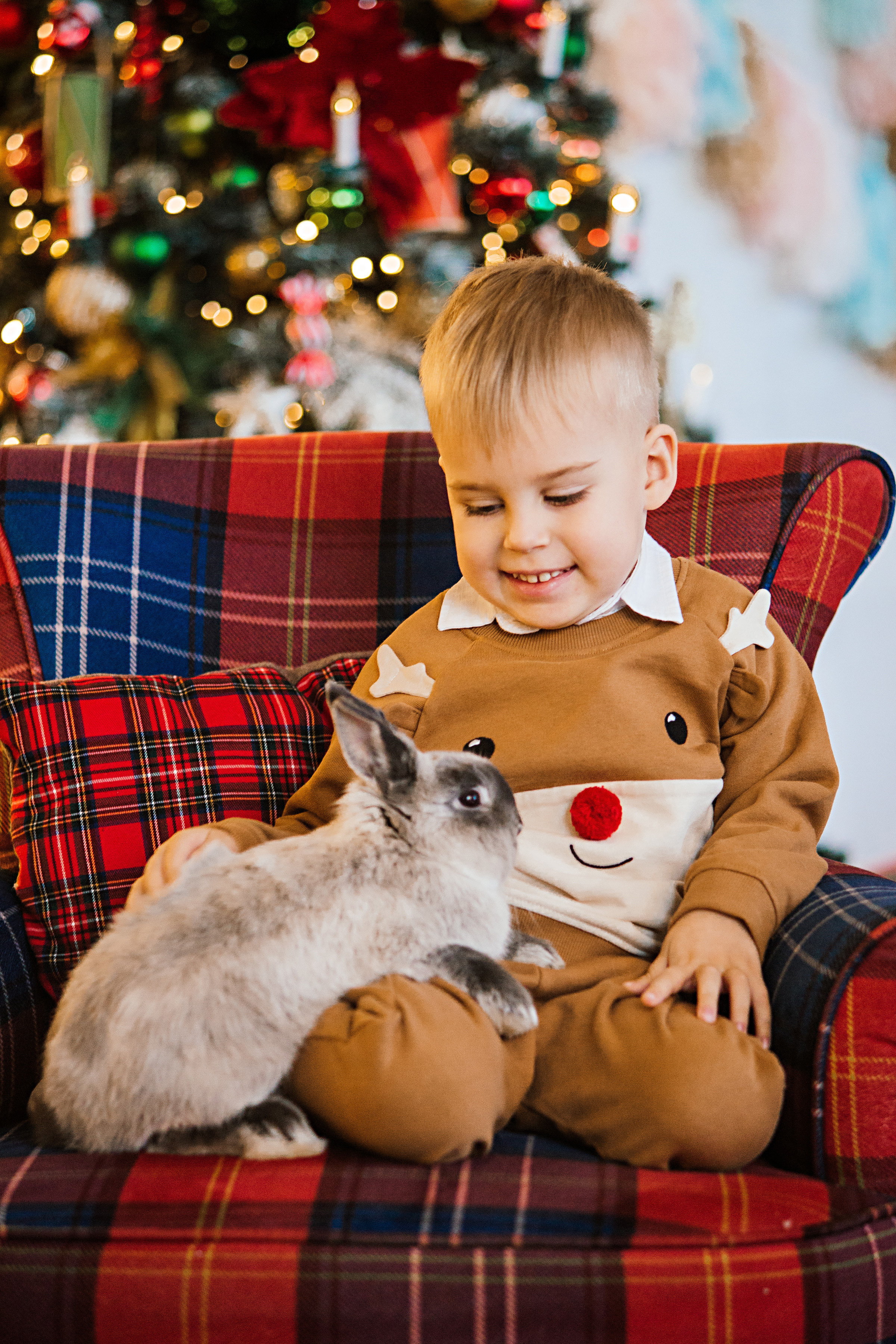 НГ фотосессии в студии. Семейный и контент фотограф в Москве Вероника Швец