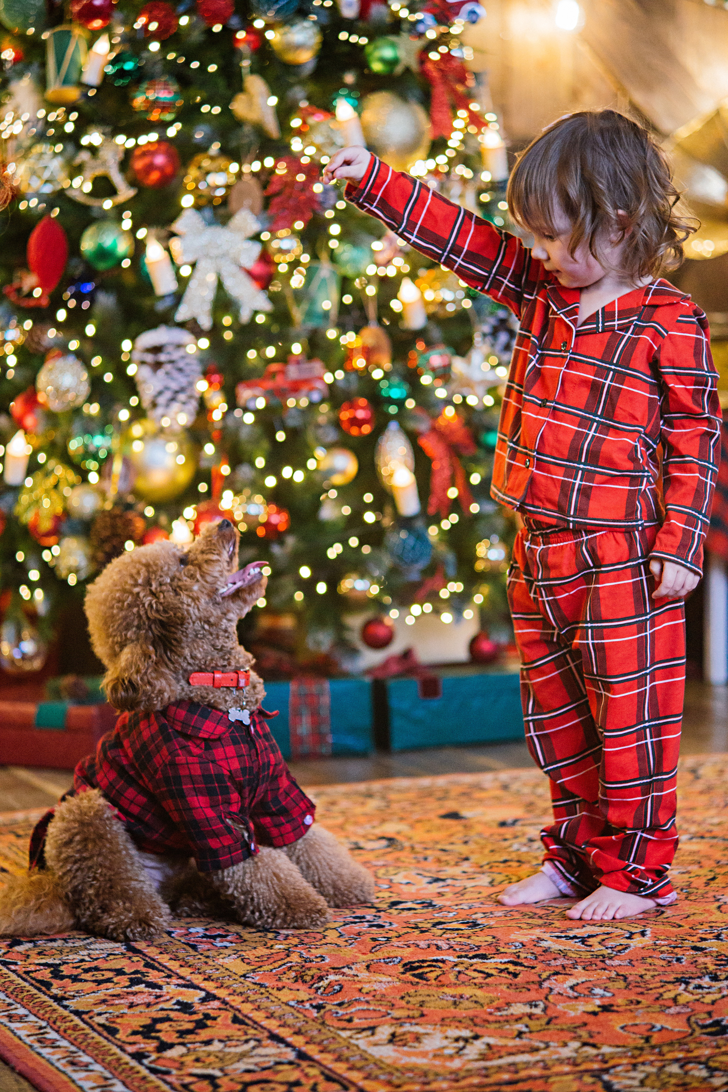 НГ фотосессии в студии. Семейный и контент фотограф в Москве Вероника Швец