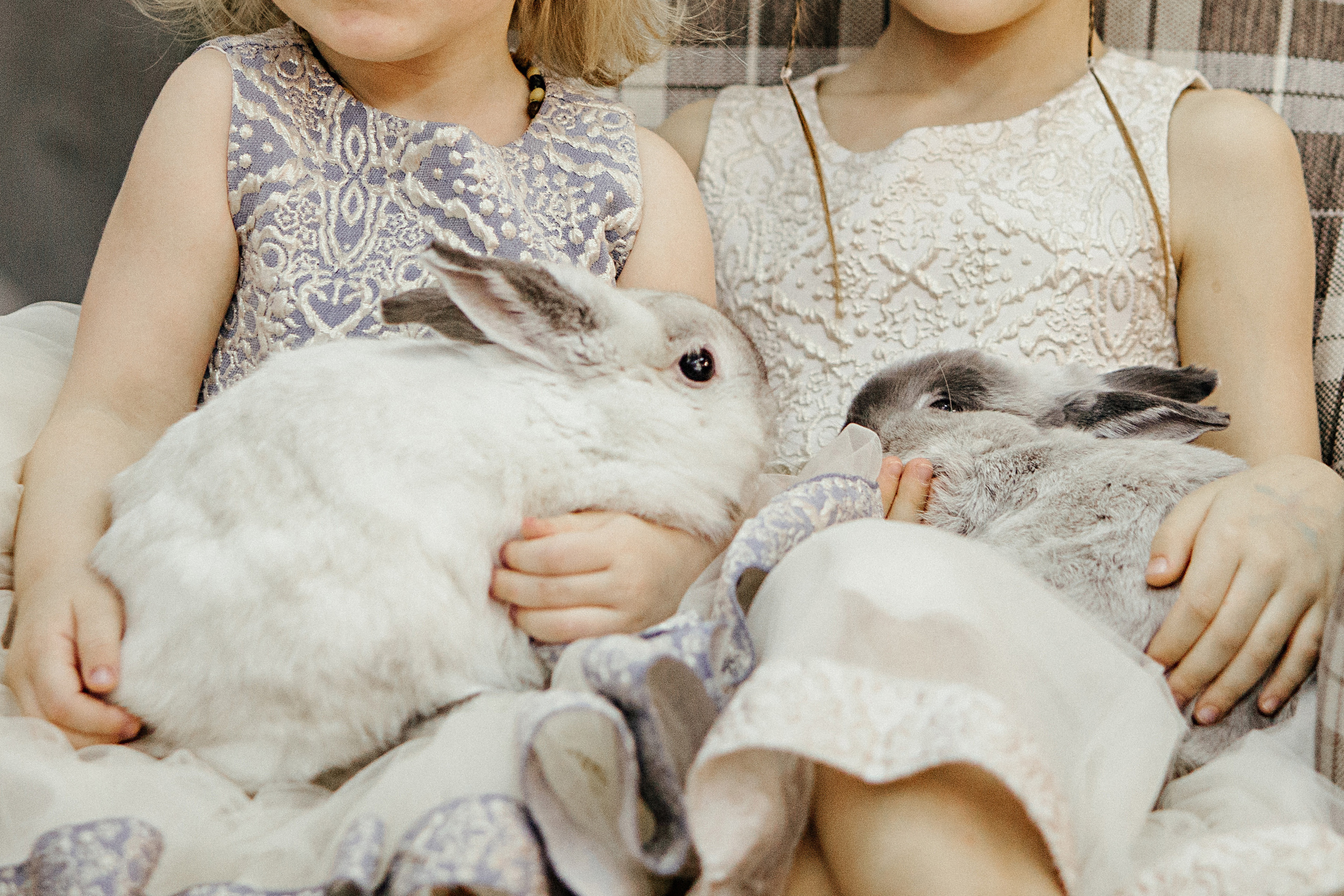 НГ фотосессии в студии. Семейный и контент фотограф в Москве Вероника Швец