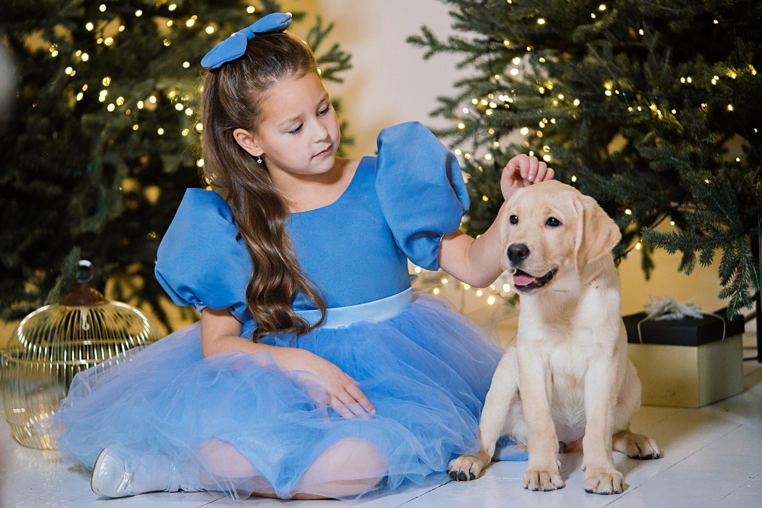 НГ фотосессии в студии. Семейный и контент фотограф в Москве Вероника Швец