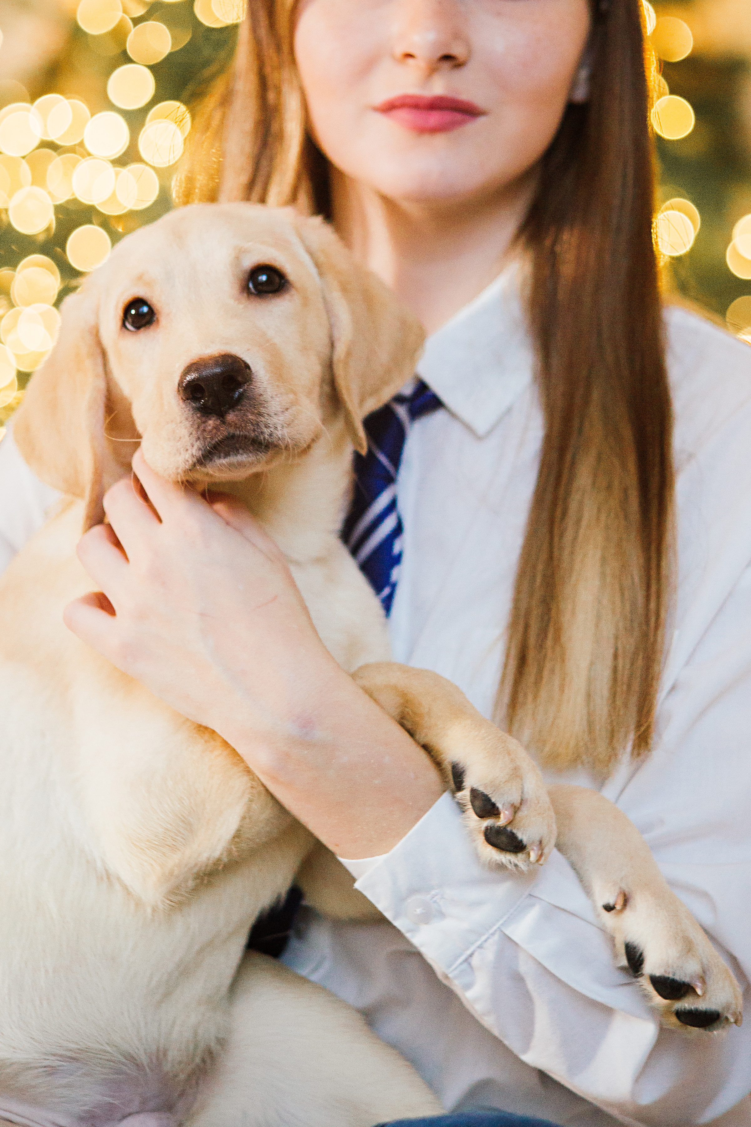 НГ фотосессии в студии. Семейный и контент фотограф в Москве Вероника Швец