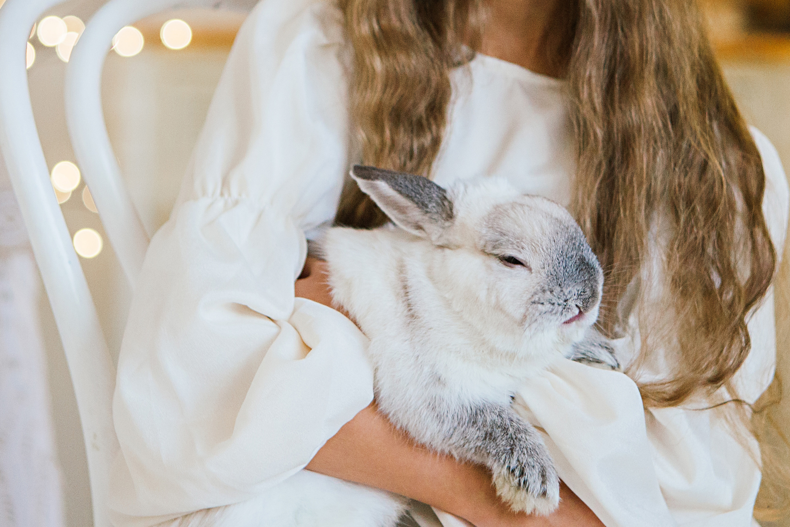 НГ фотосессии в студии. Семейный и контент фотограф в Москве Вероника Швец