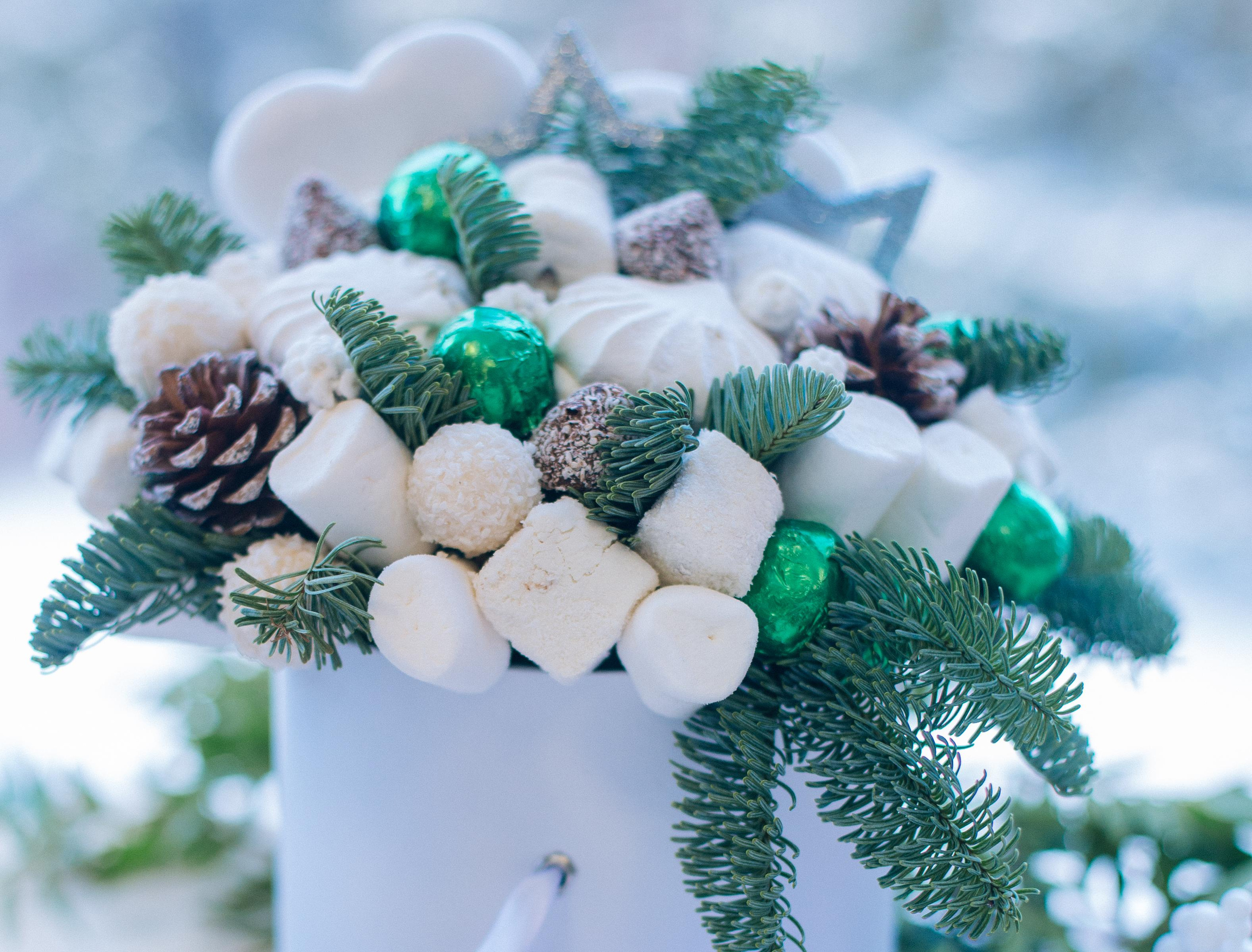 Новогодний контент. Семейный и контент фотограф в Москве Вероника Швец