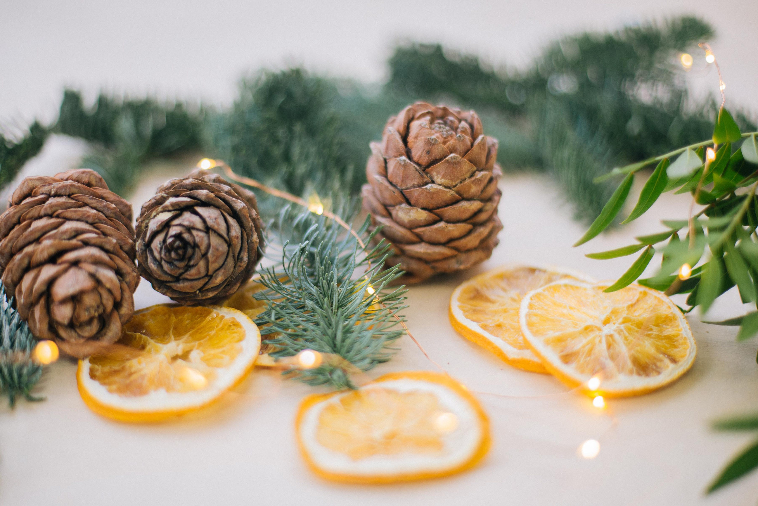 Новогодний контент. Семейный и контент фотограф в Москве Вероника Швец