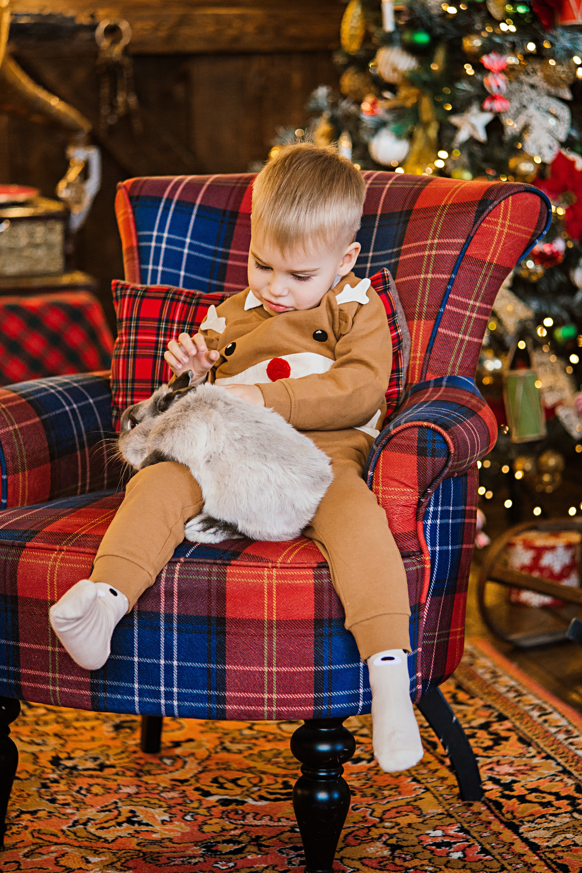 НГ фотосессии в студии. Семейный и контент фотограф в Москве Вероника Швец