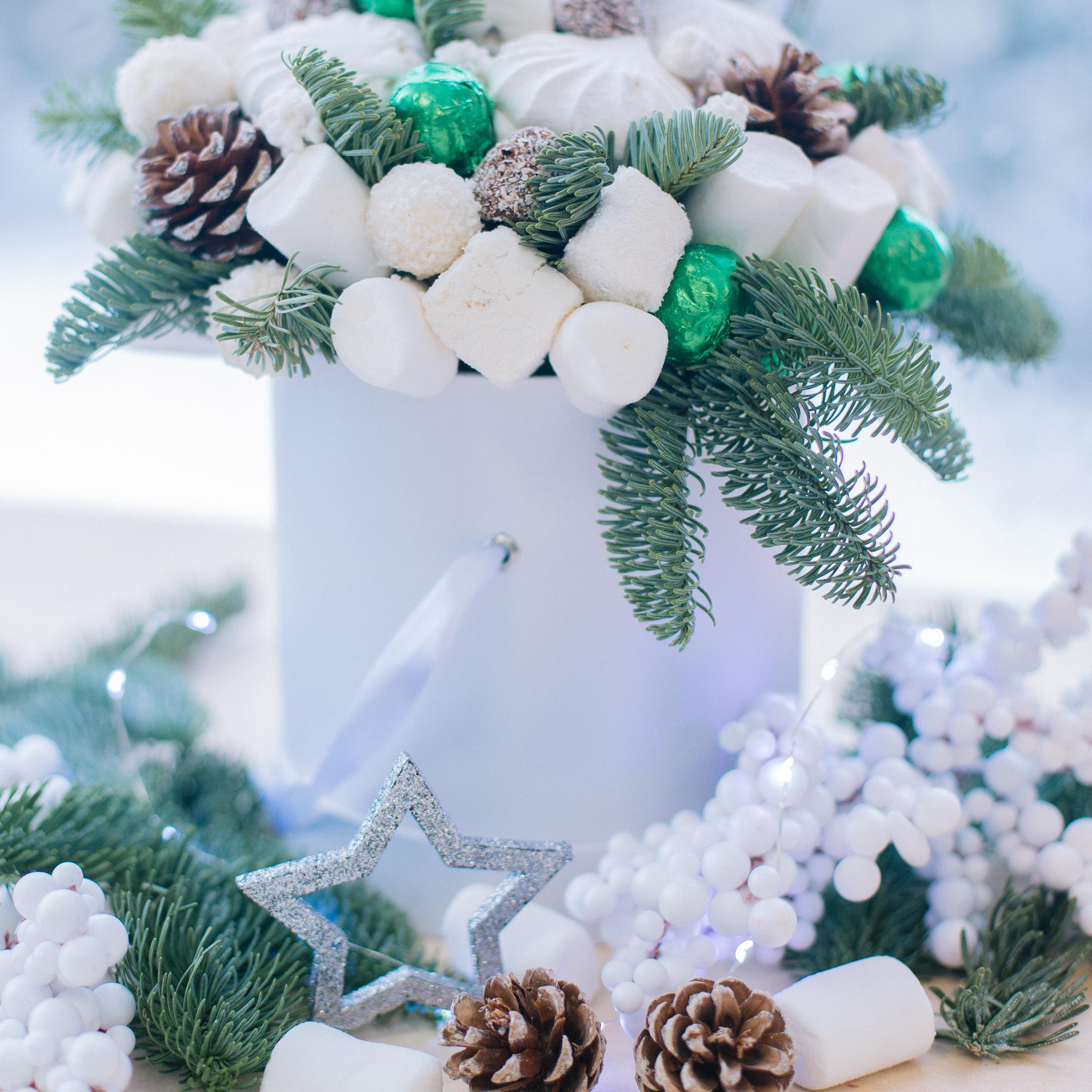 Новогодний контент. Семейный и контент фотограф в Москве Вероника Швец