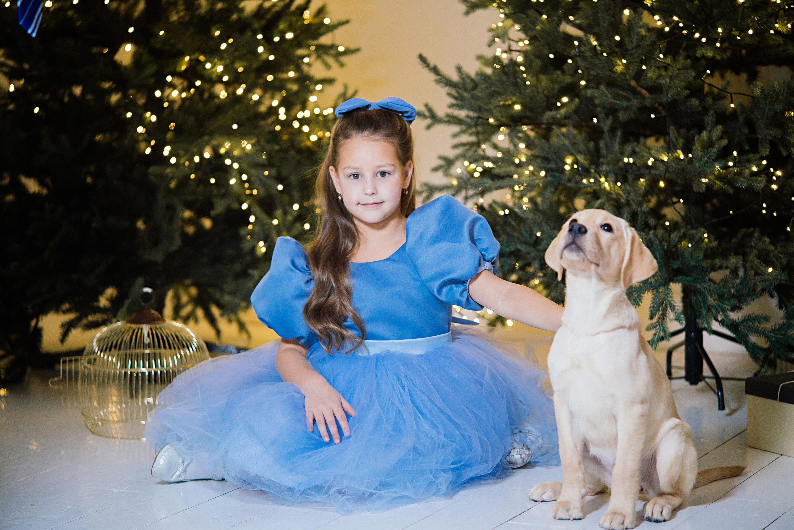 НГ фотосессии в студии. Семейный и контент фотограф в Москве Вероника Швец