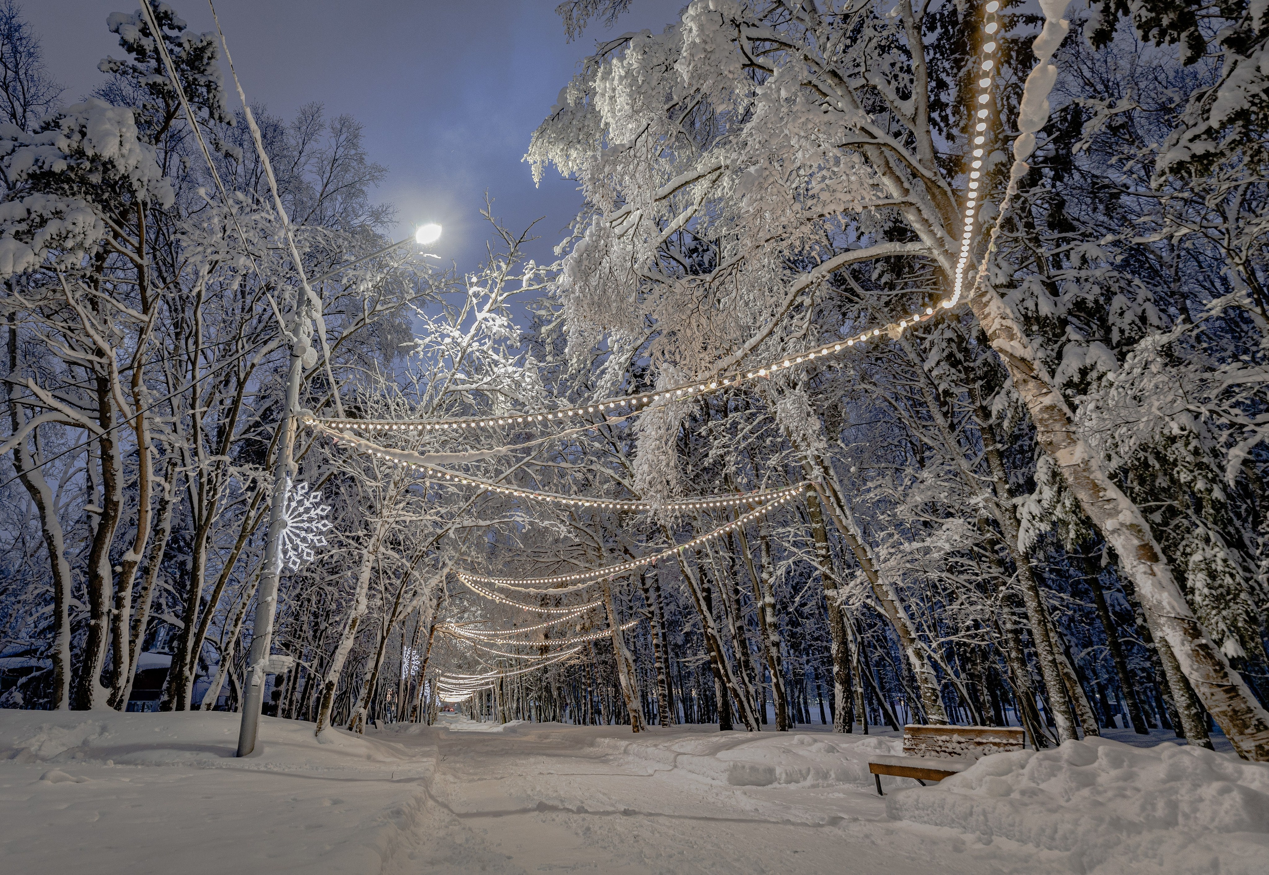 О.Сахалин. Фотограф. г. Южно-Сахалинск. Олег Толстов