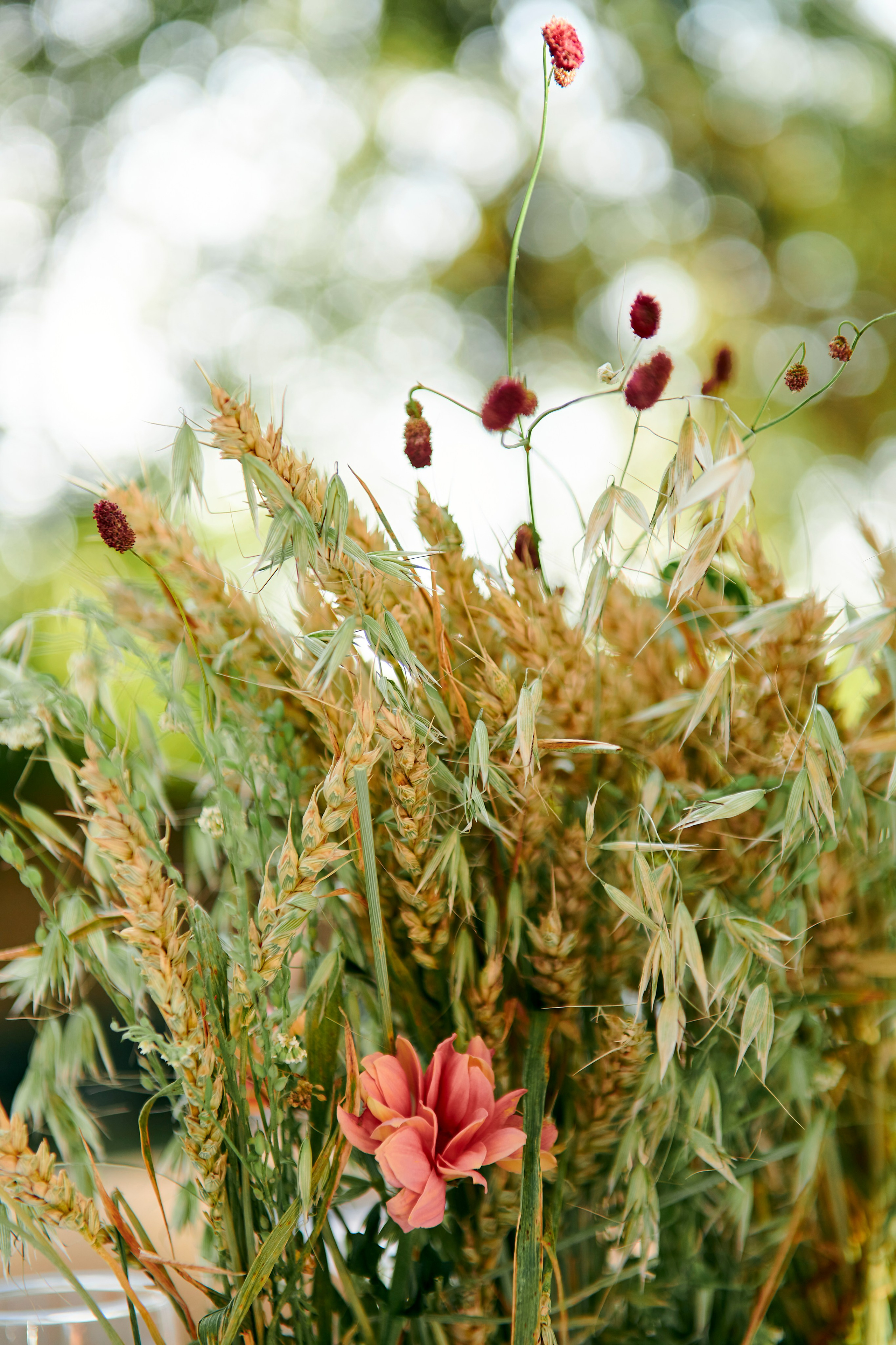 Ужин-открытие фестиваля в честь 300-летия Екатеринбурга!. Фотограф Постольник Дарья
