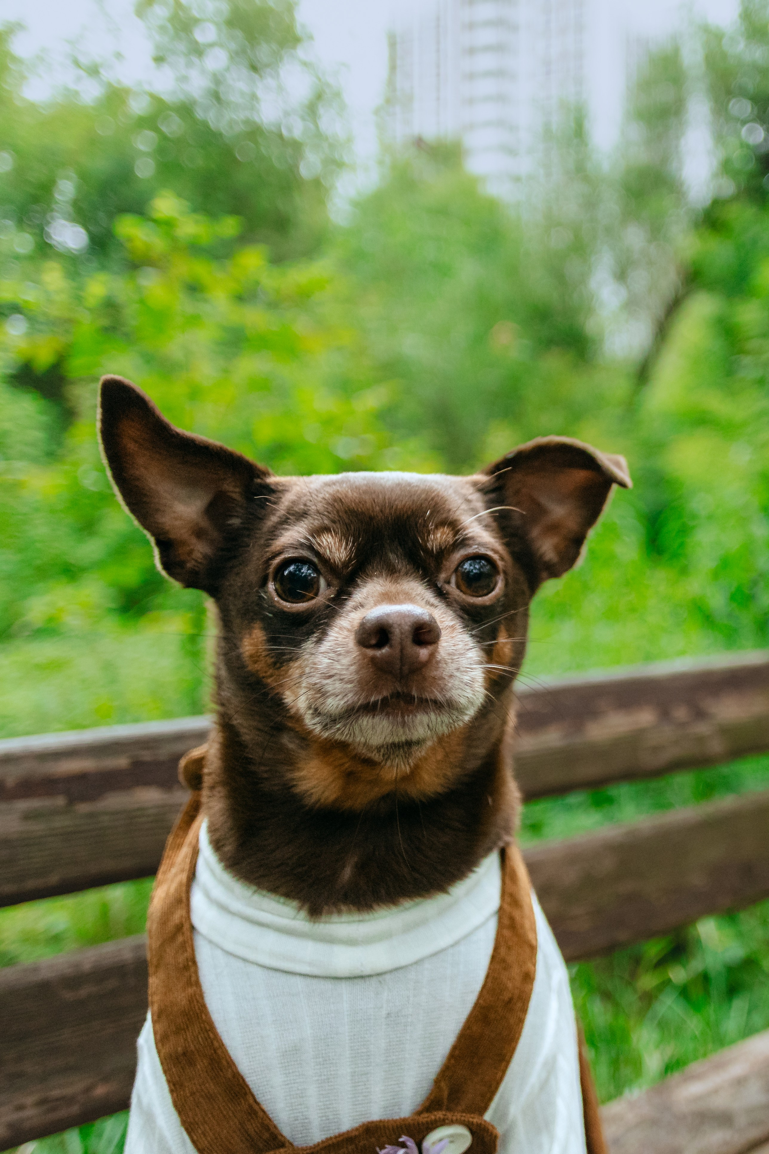 Юля и Леонид. Фотограф-анималист Татьяна Степанова