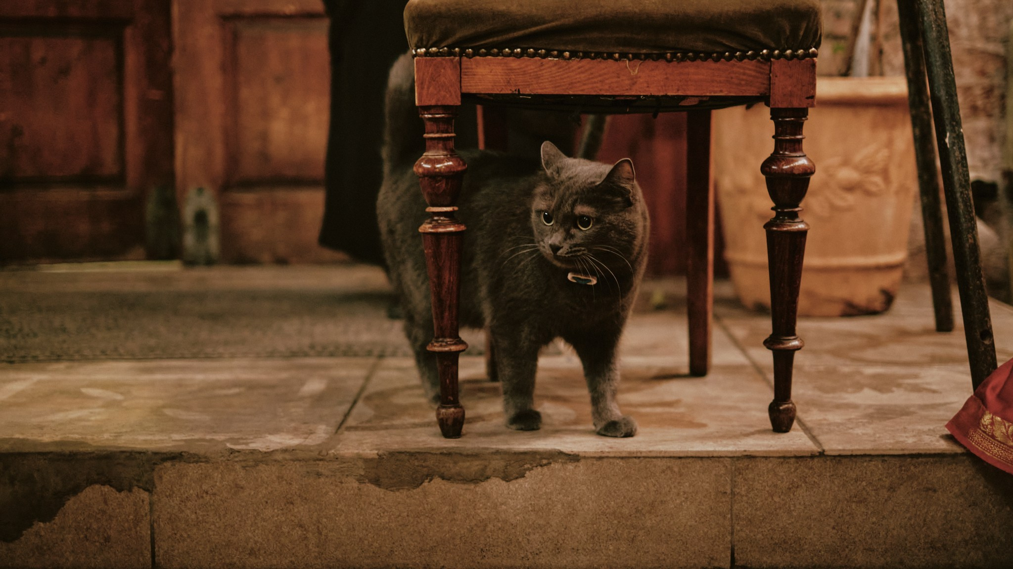 Dance.Party.Spring. Фотограф Аннё| Москва