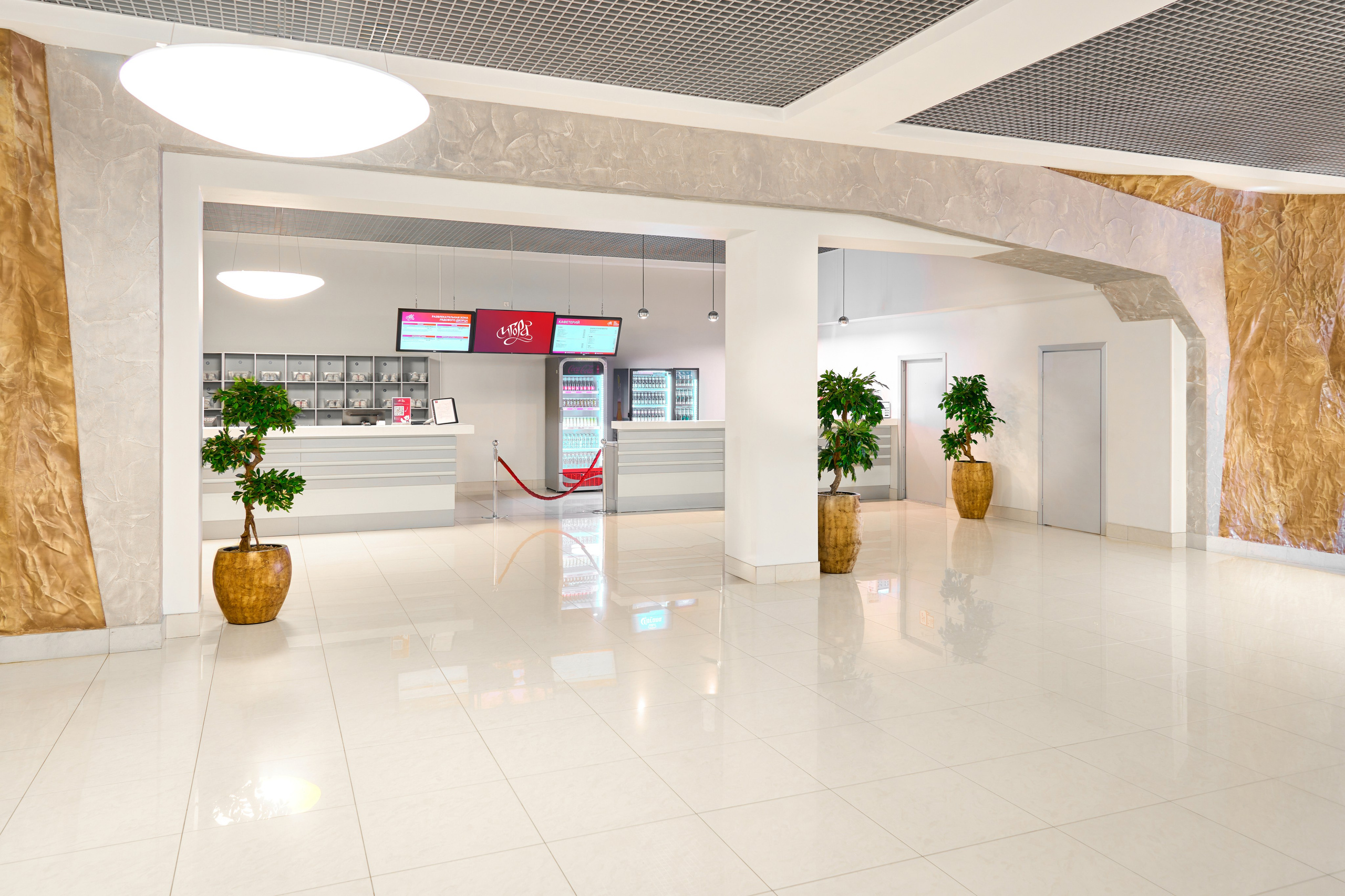 ИГОРА ЛЕДОВЫЙ