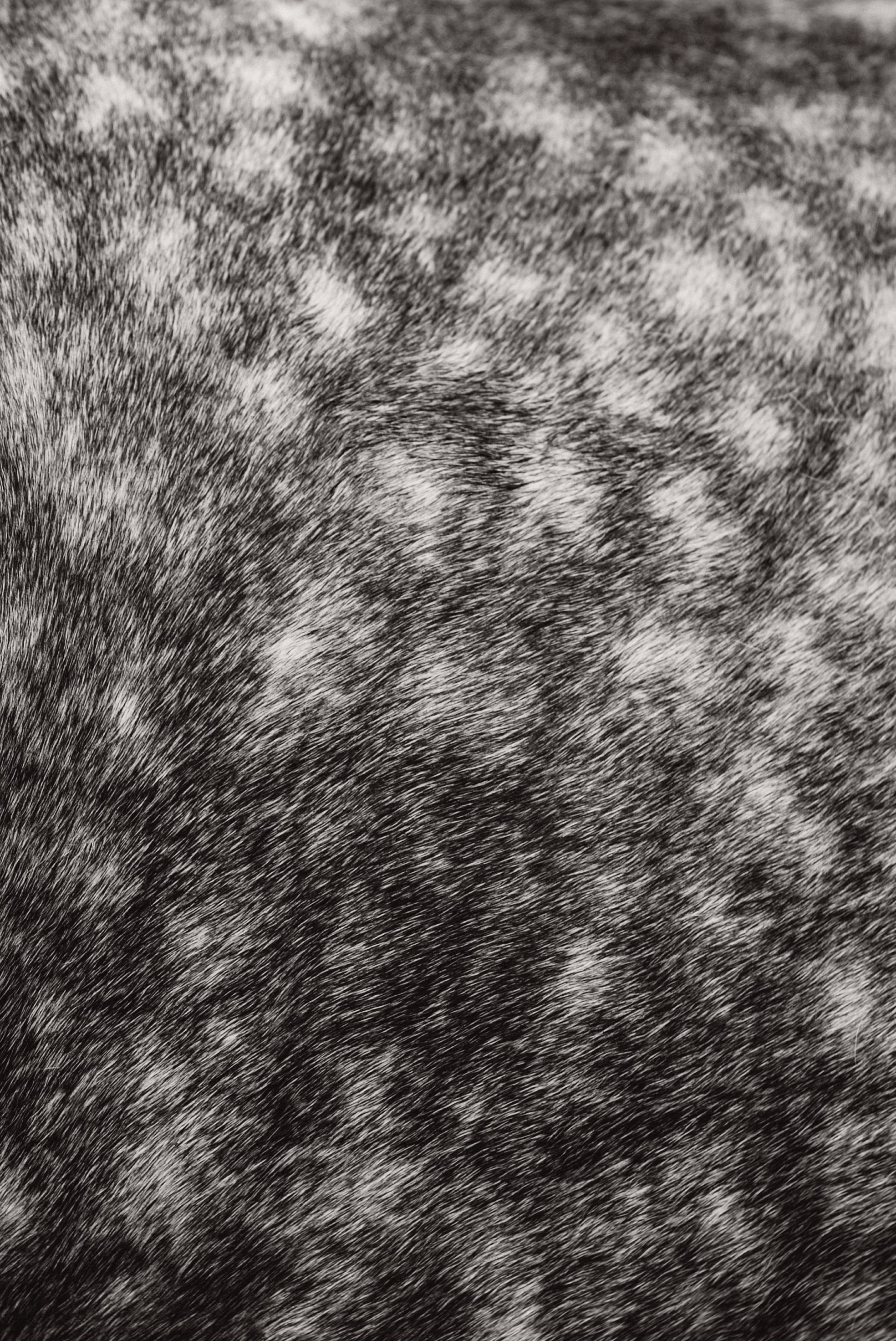 Иваново детство. Семейный свадебный фотограф Екатеринбург Первоуральск Шарнина Алёна