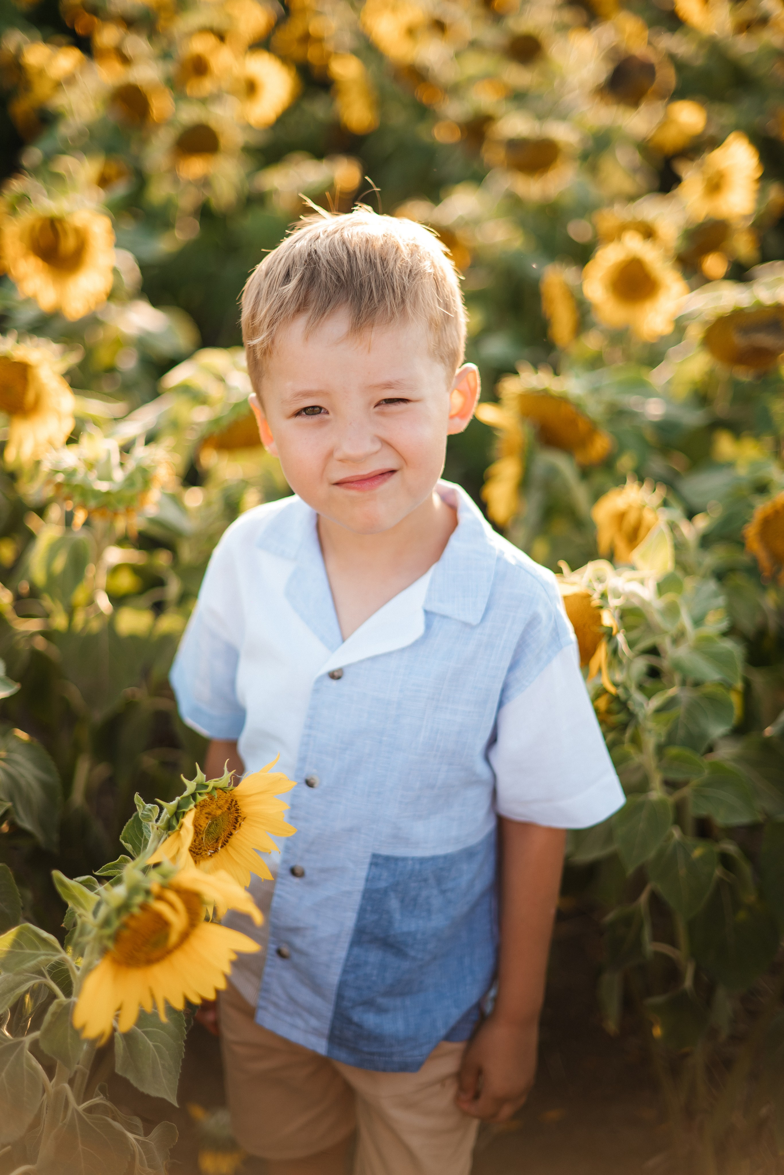 Подсолнечно. Свадебный фотограф