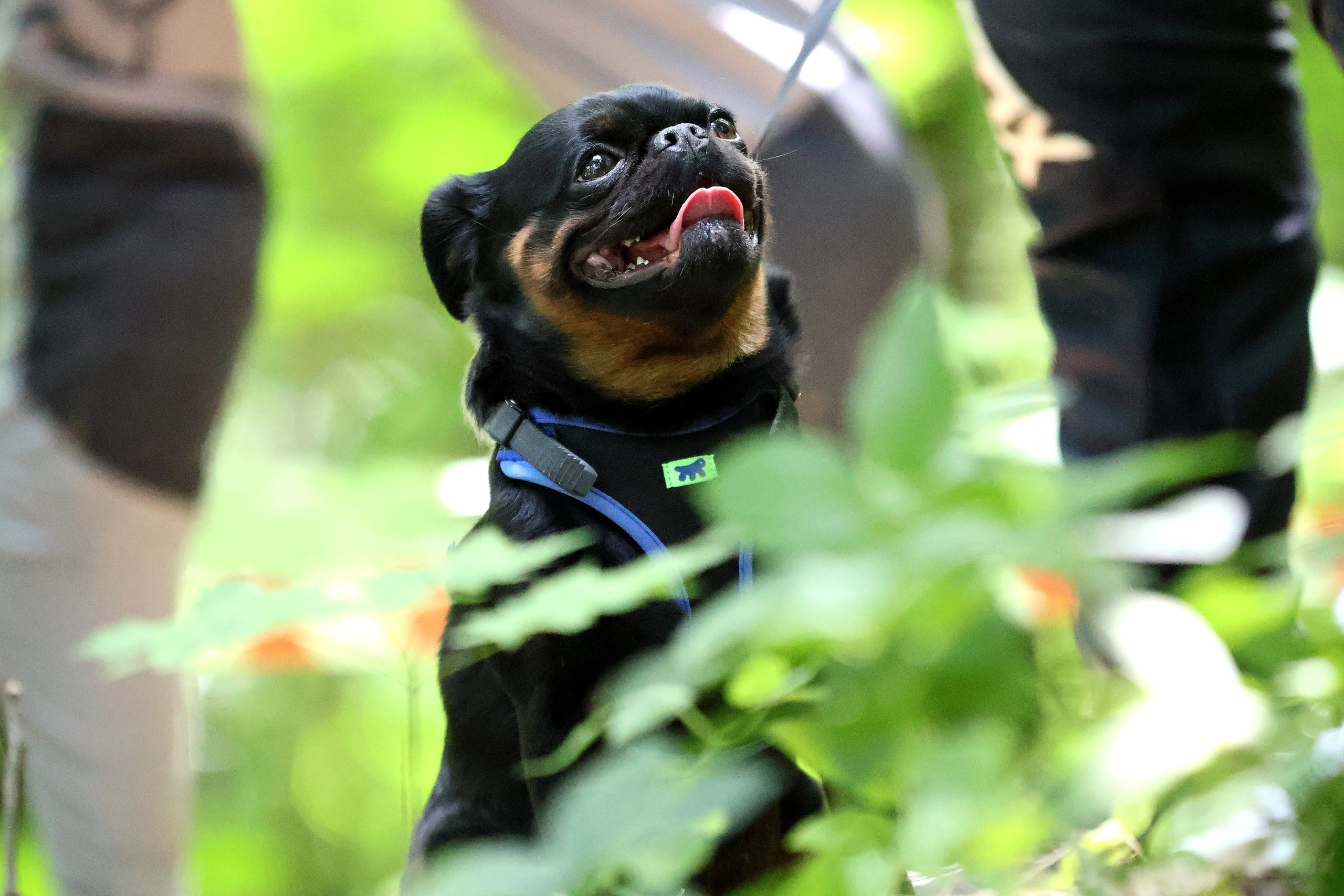 FeelPark Race 2024. Спортивный и репортажный фотограф Ермакова Светлана