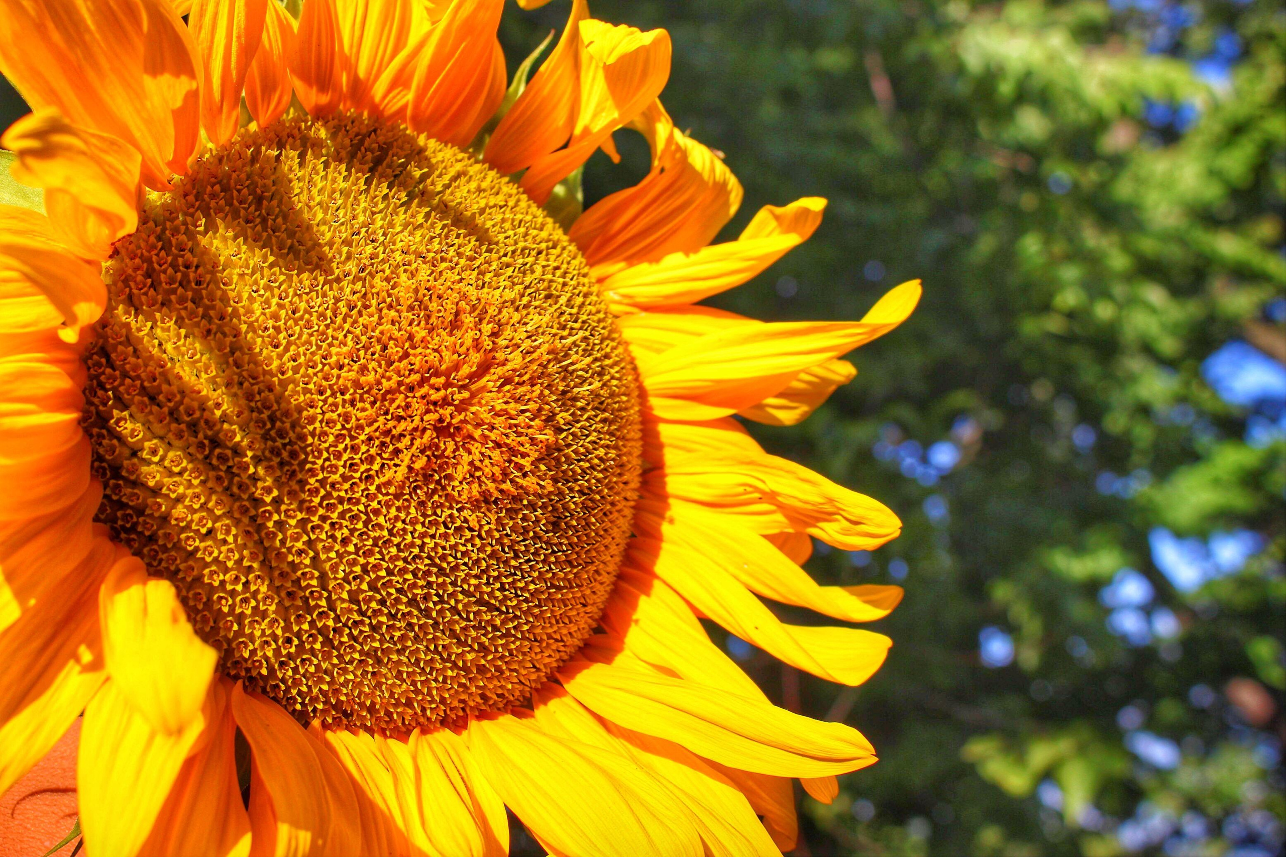 Портфолио / Portfolio. Фотограф в Минске Alex Squire