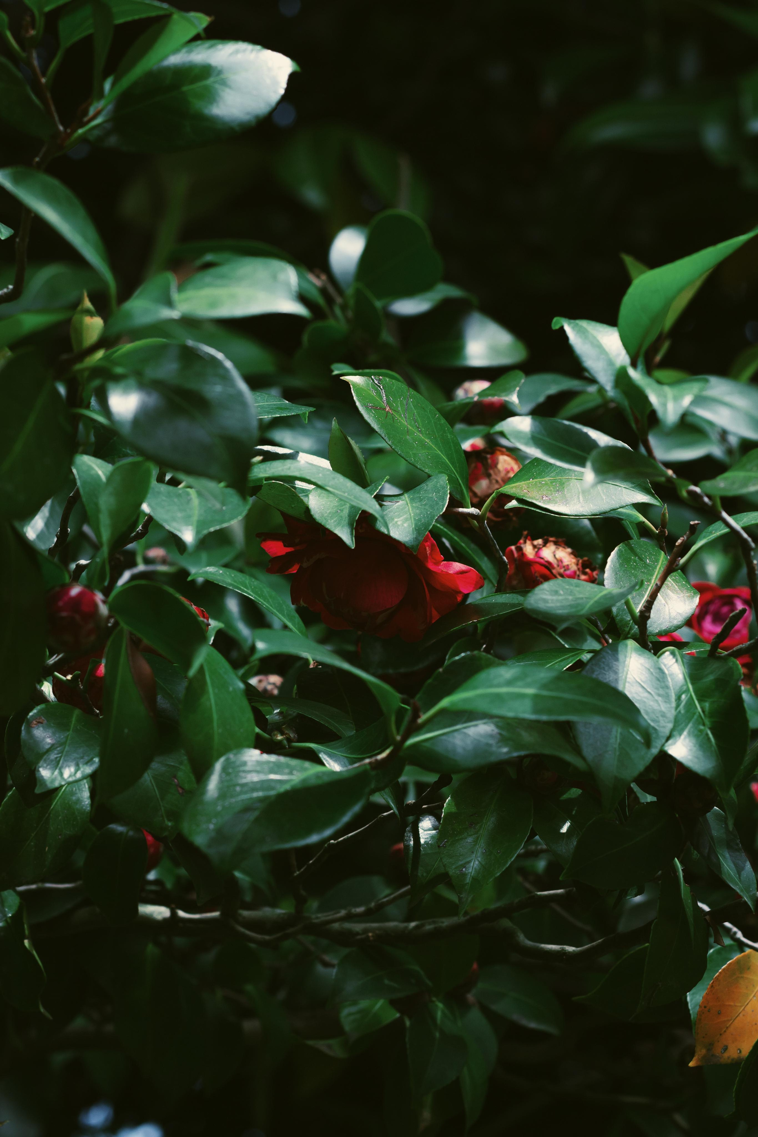 Портфолио / Portfolio. Фотограф в Минске Alex Squire