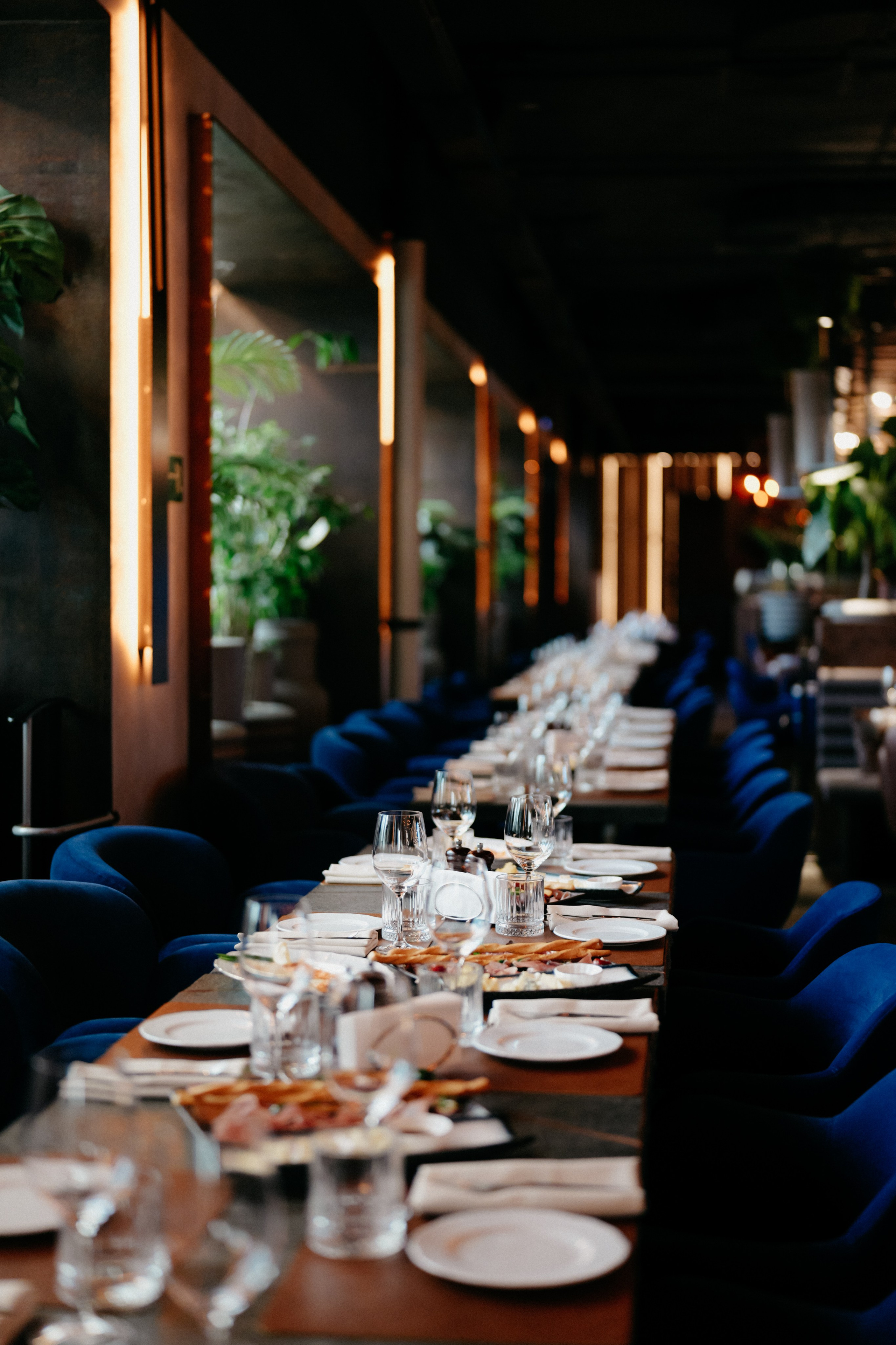 Амтел. Фотограф в Москве Дмитрий Рогов