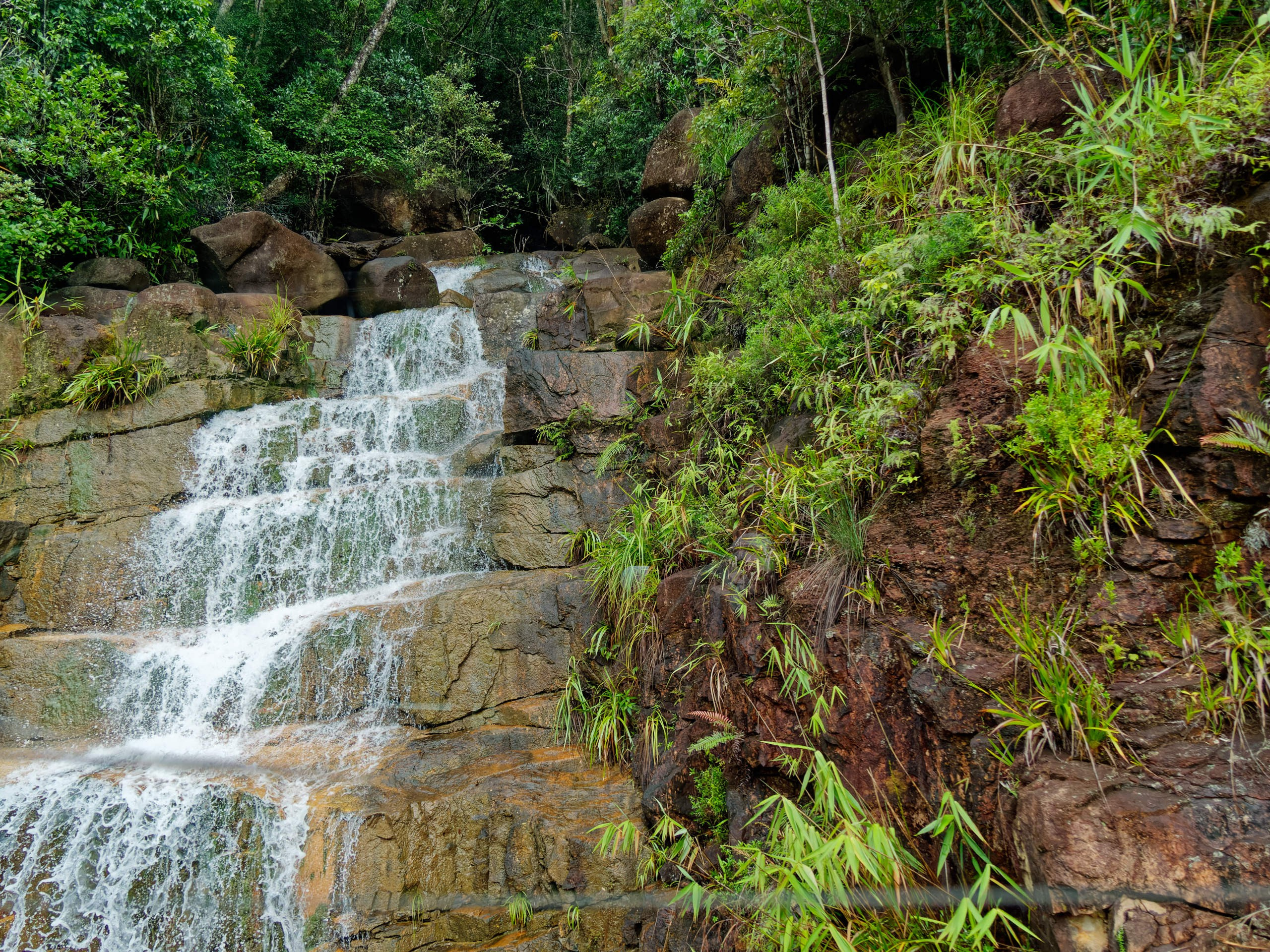 Далат 2023. Избранные фотографии