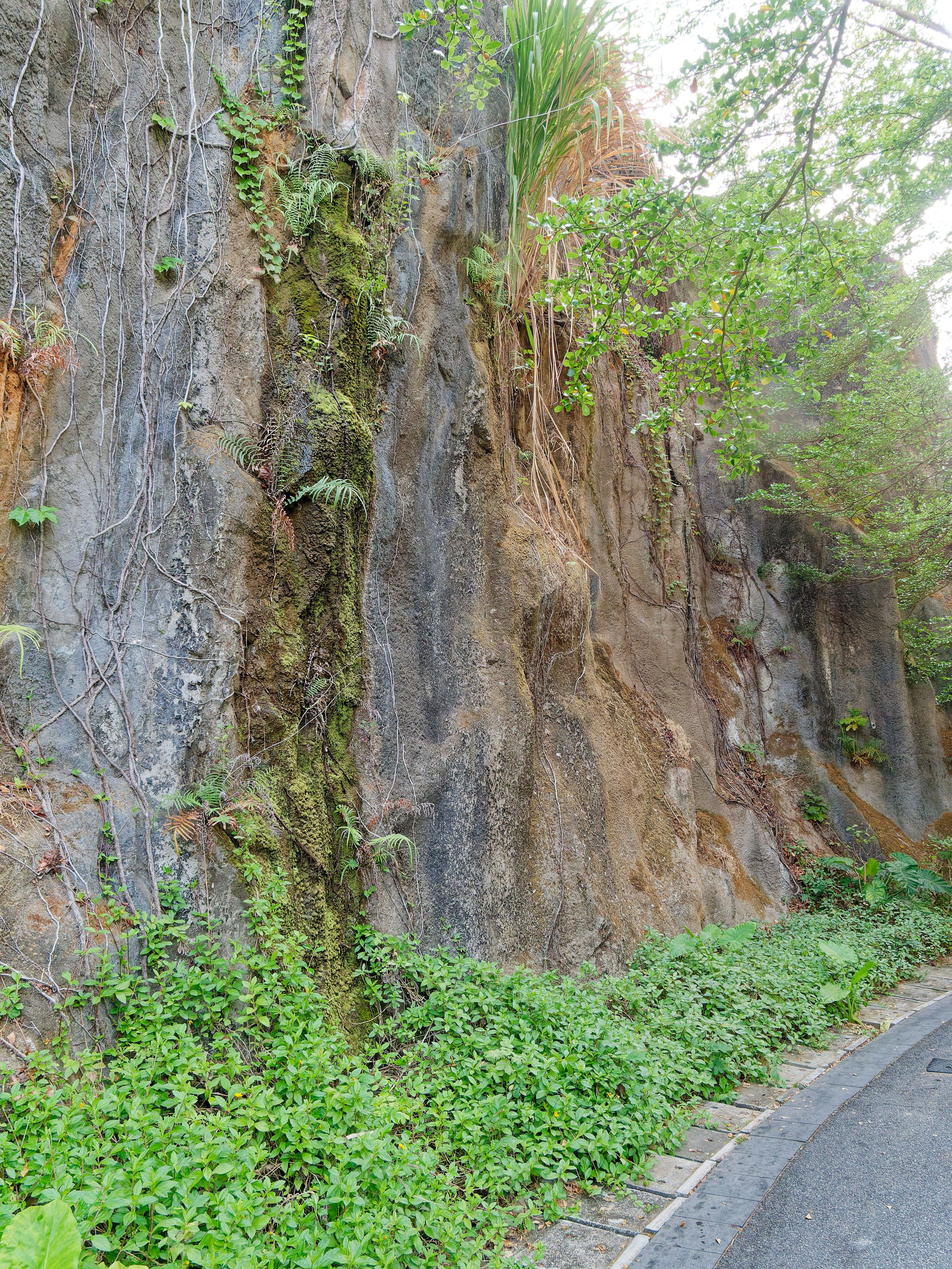 Хайнань 2026, отель «Stony Brook Villa Jianguo Resort Sanya 4*». Фотопрогулки по Миру