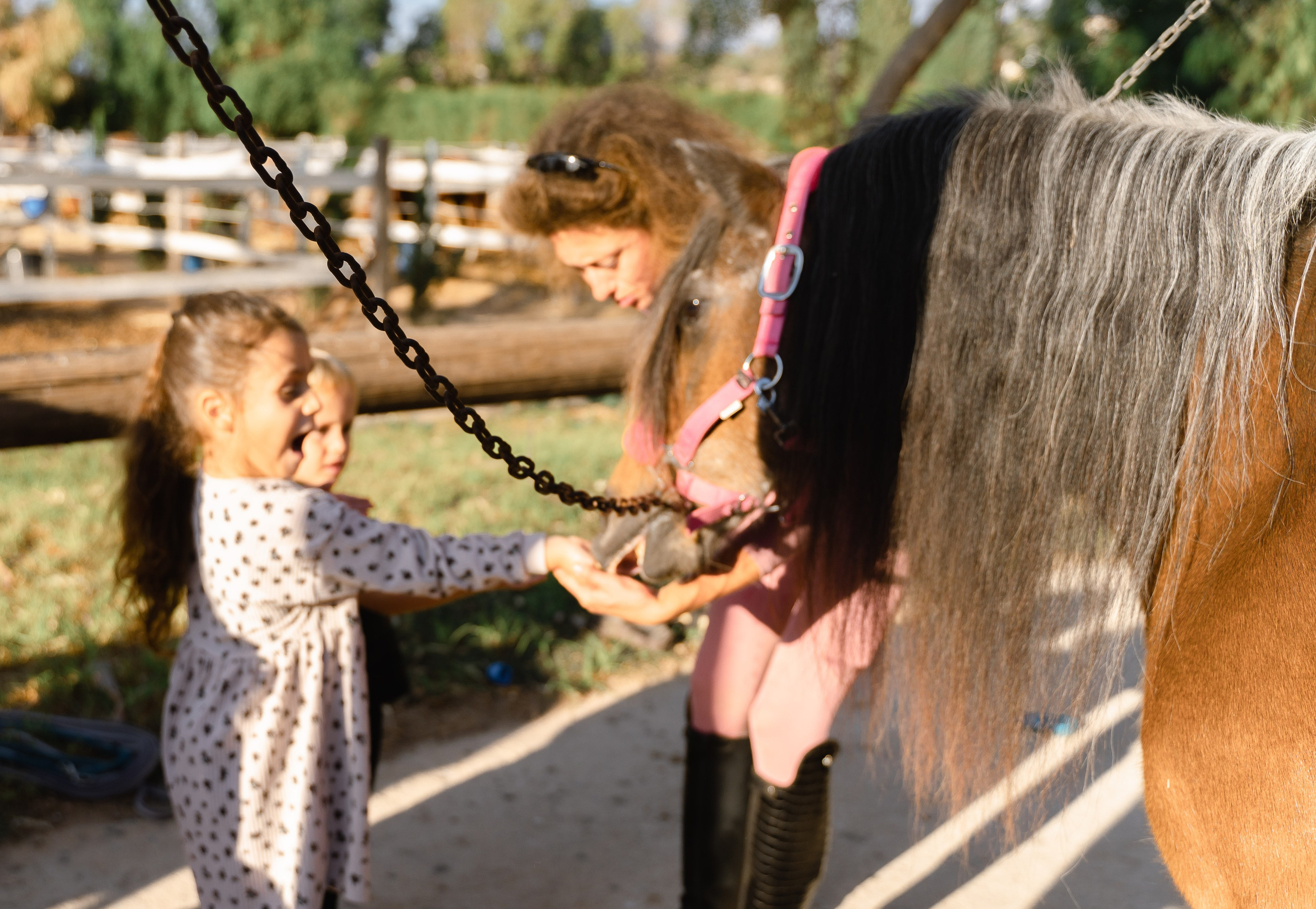 День Рождение Виктории на ранчо. Свадебный и семейный фотограф Ирина Чернова