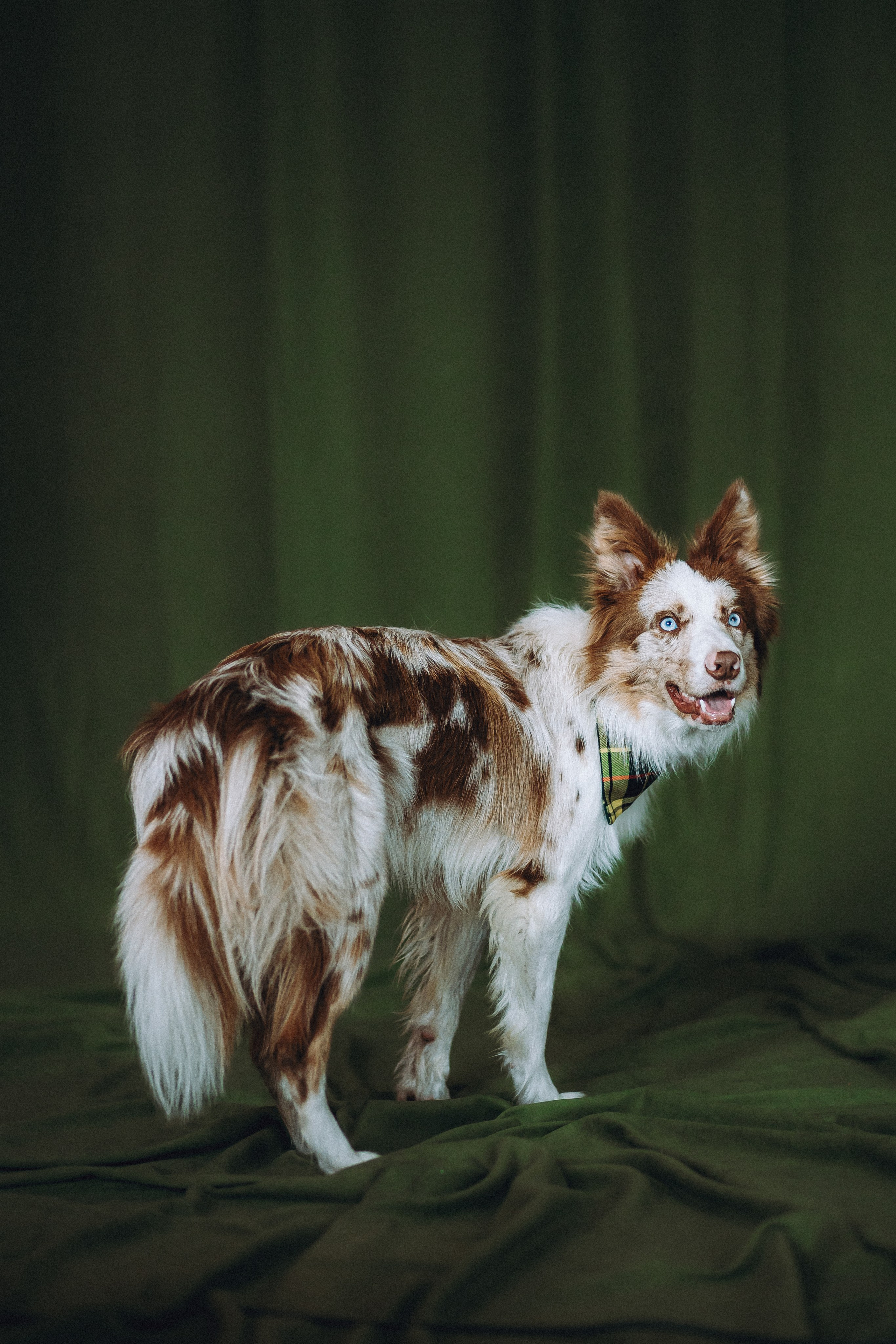 День рождения Айко