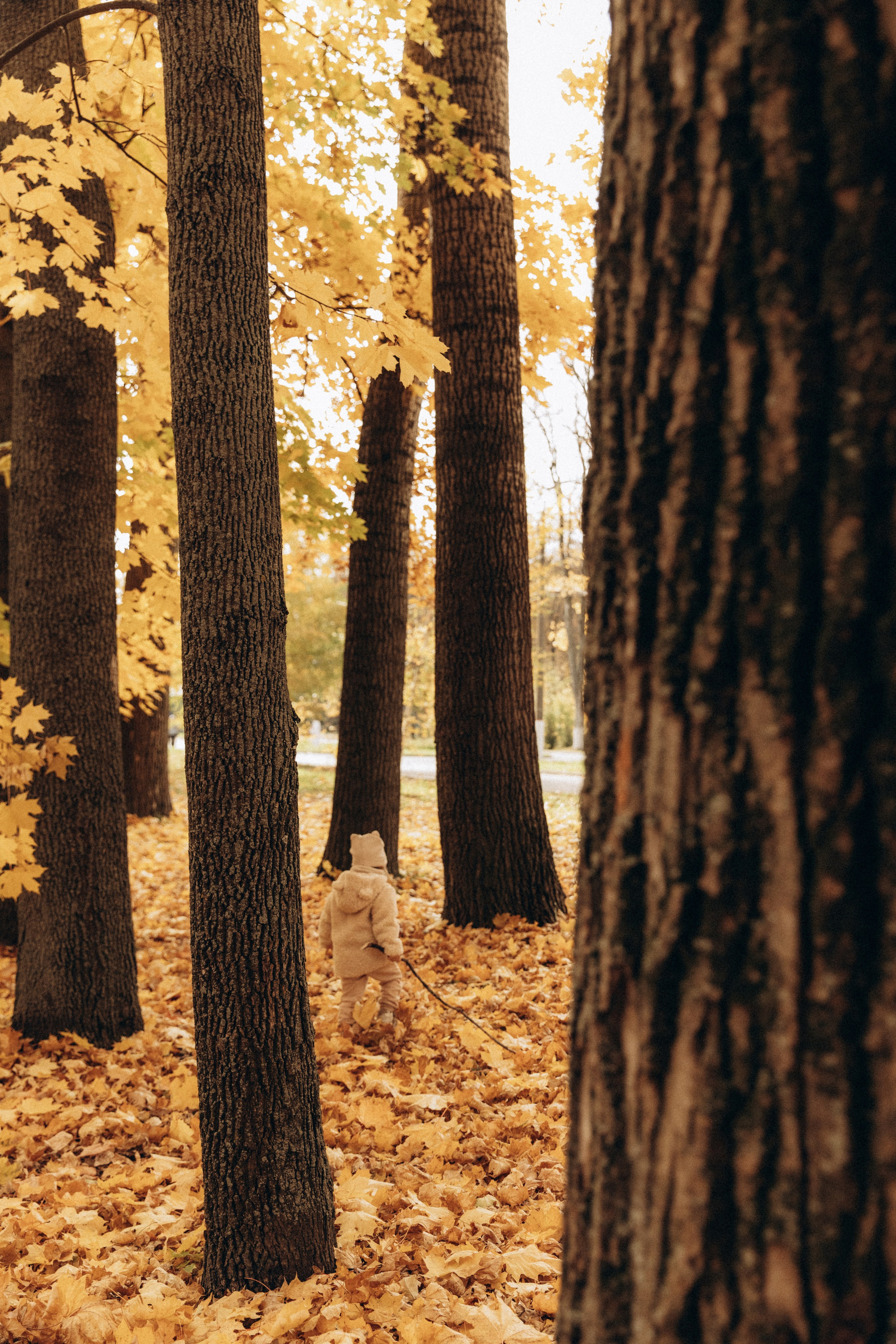 Карина и Клара. Фотограф в Нижнем Новгороде Воробьева Анжела