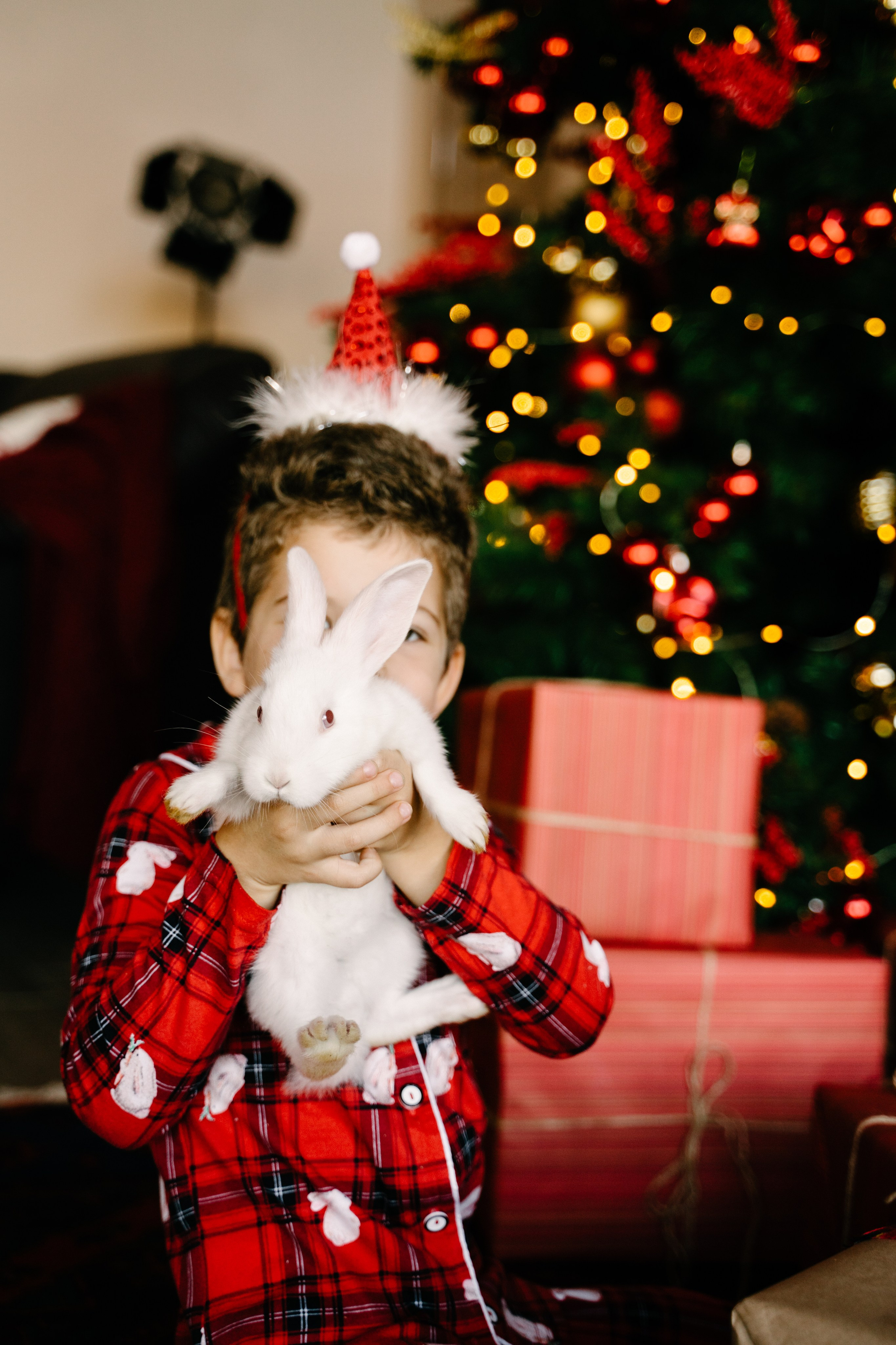 Новогодняя история. Свадебный фотограф Юлия Копылова