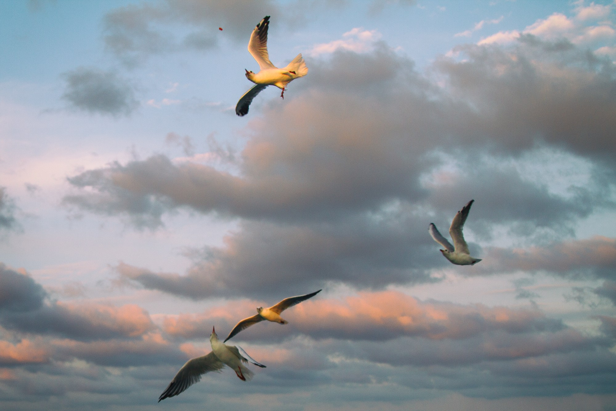 Фотограф Алексей Седойкин